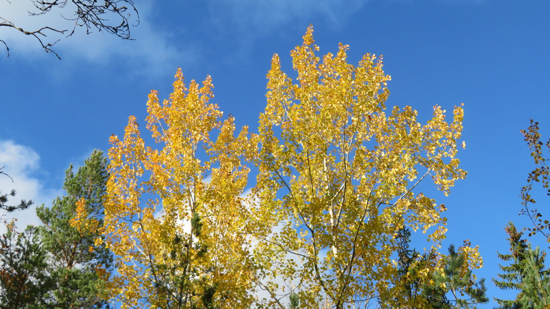 Valokuvaaja: Risto Kangassalo