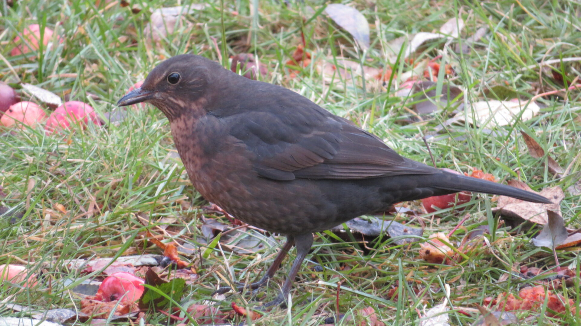 Valokuvaaja: Risto Kangassalo