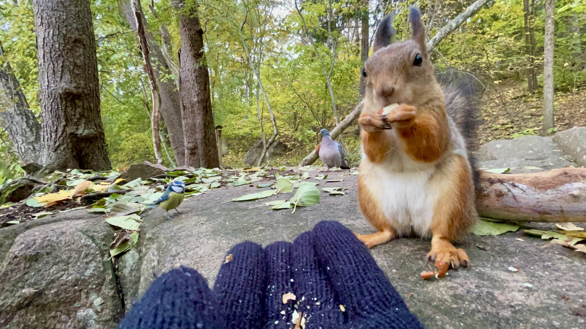 Valokuvaaja: Juhani Peltonen