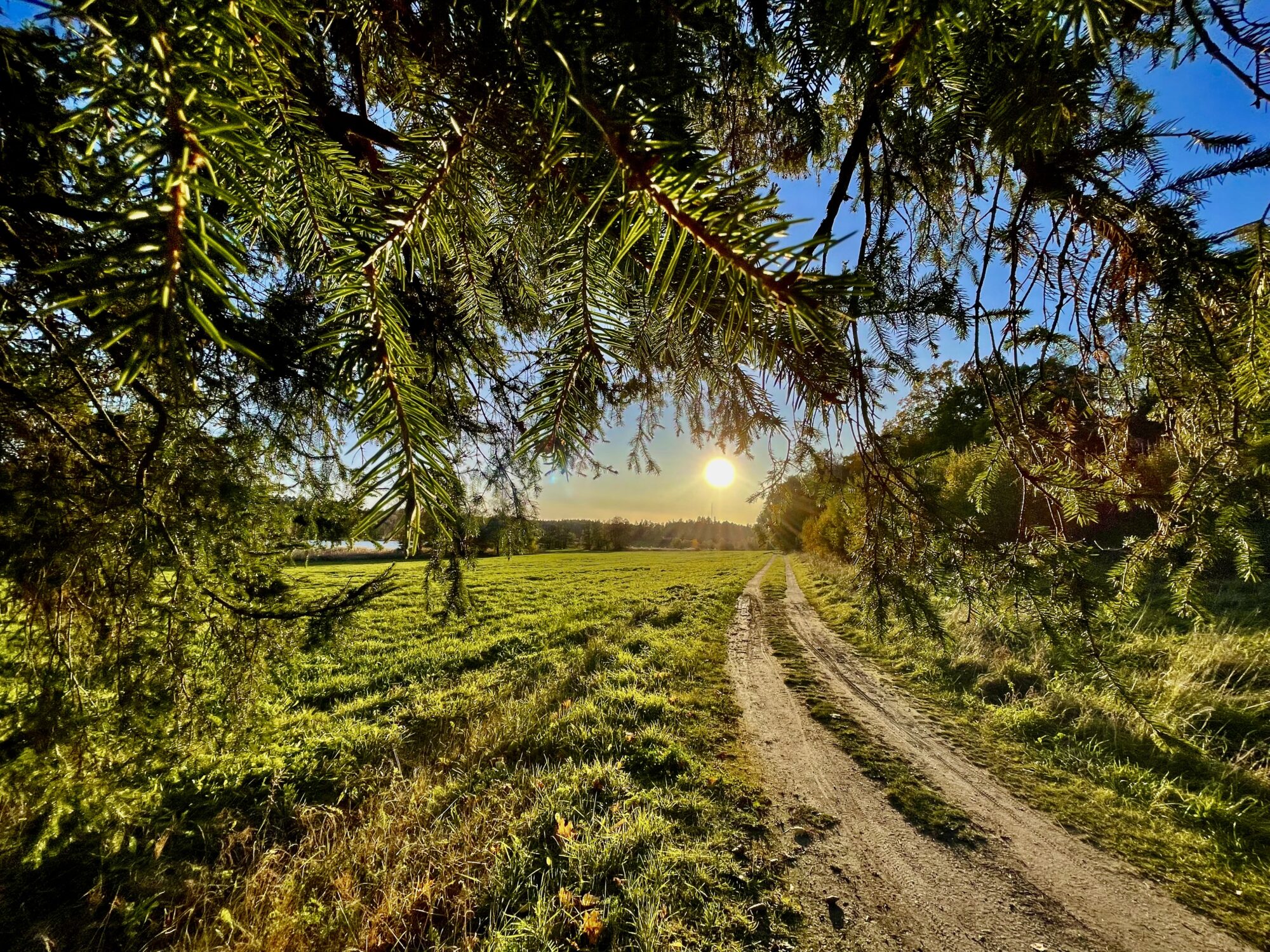 Valokuvaaja: Juhani Peltonen