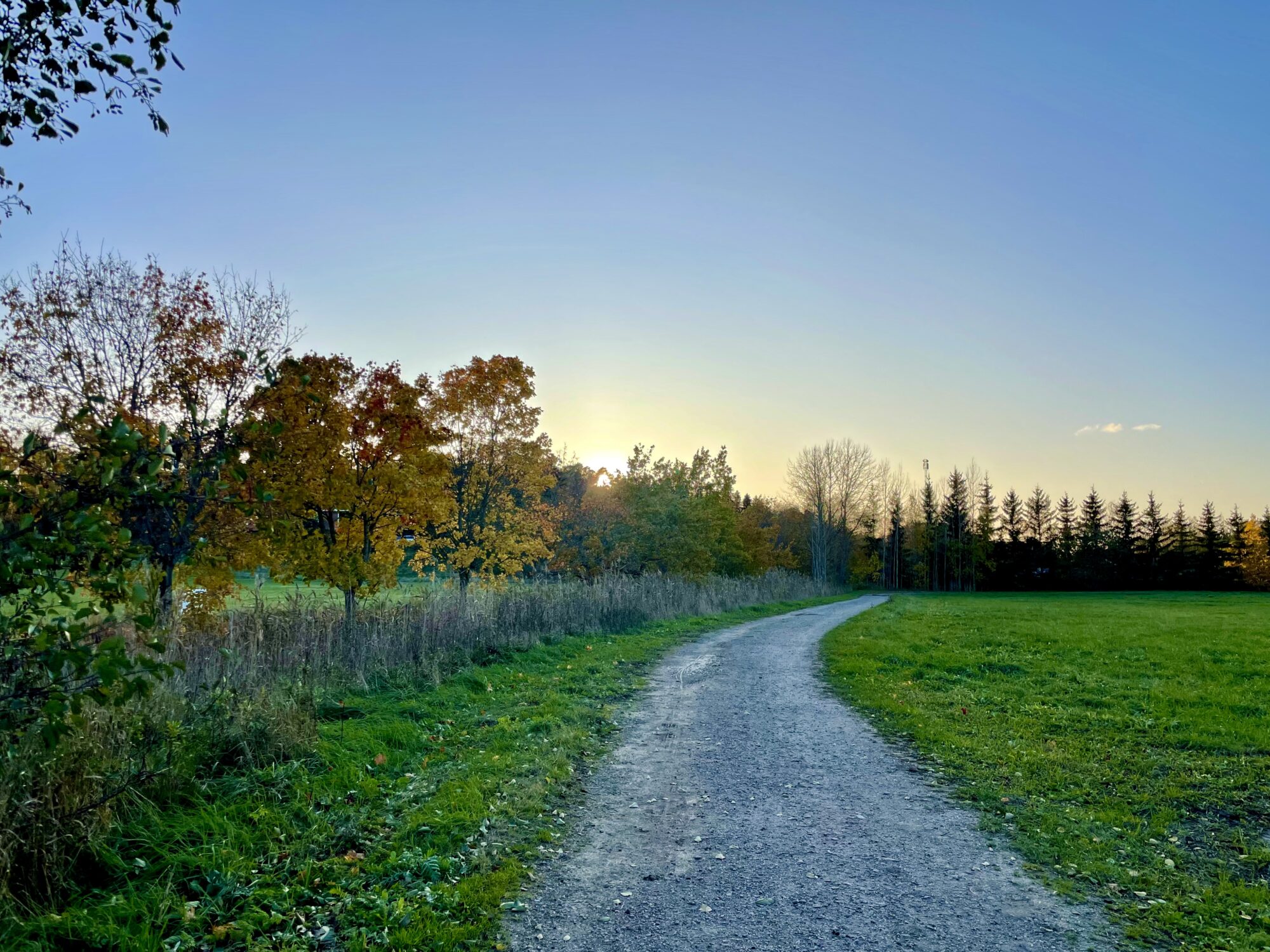 Valokuvaaja: Juhani Peltonen Valokuvaaja: Juhani Peltonen