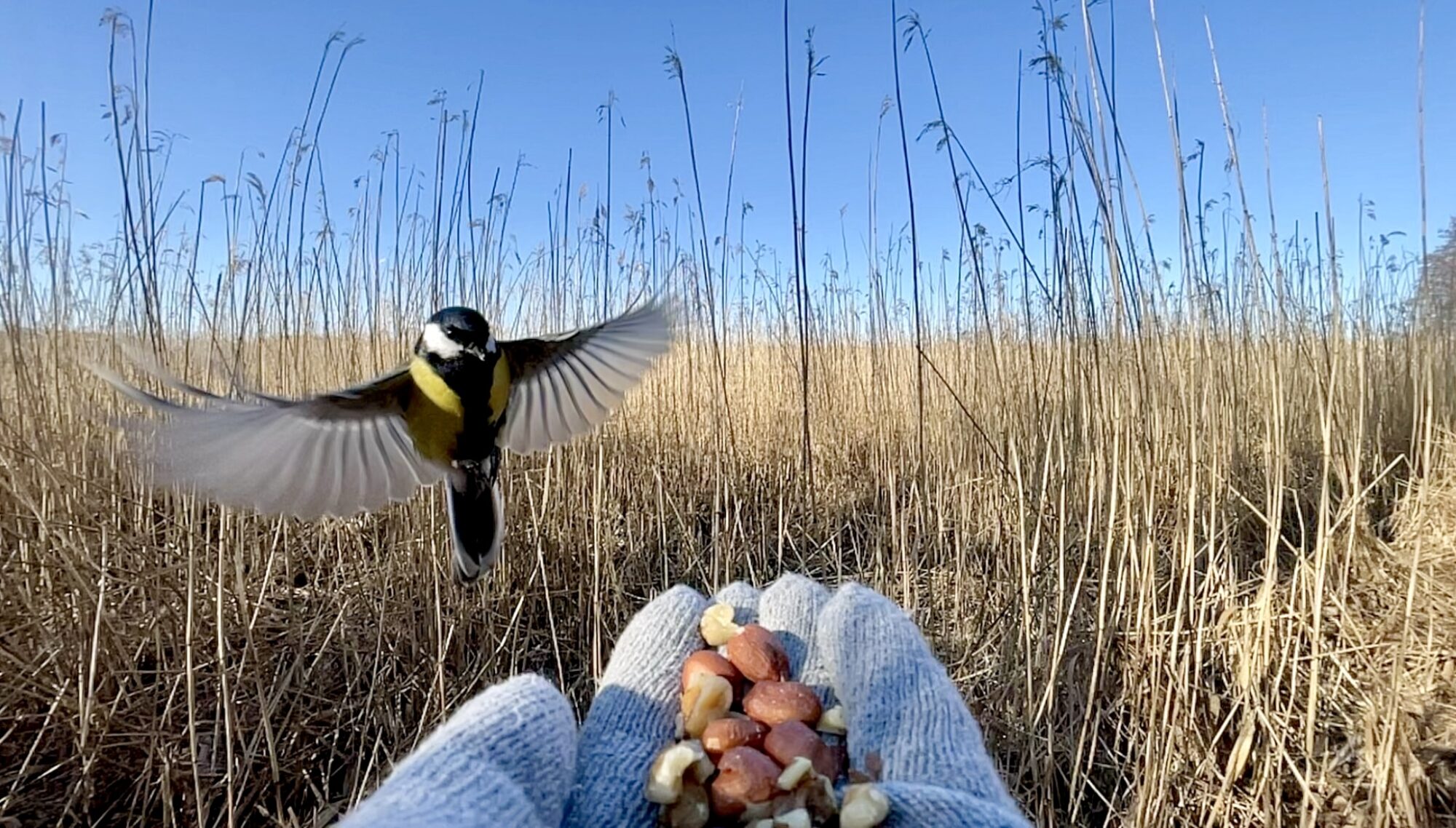 Valokuvaaja: Juhani Peltonen