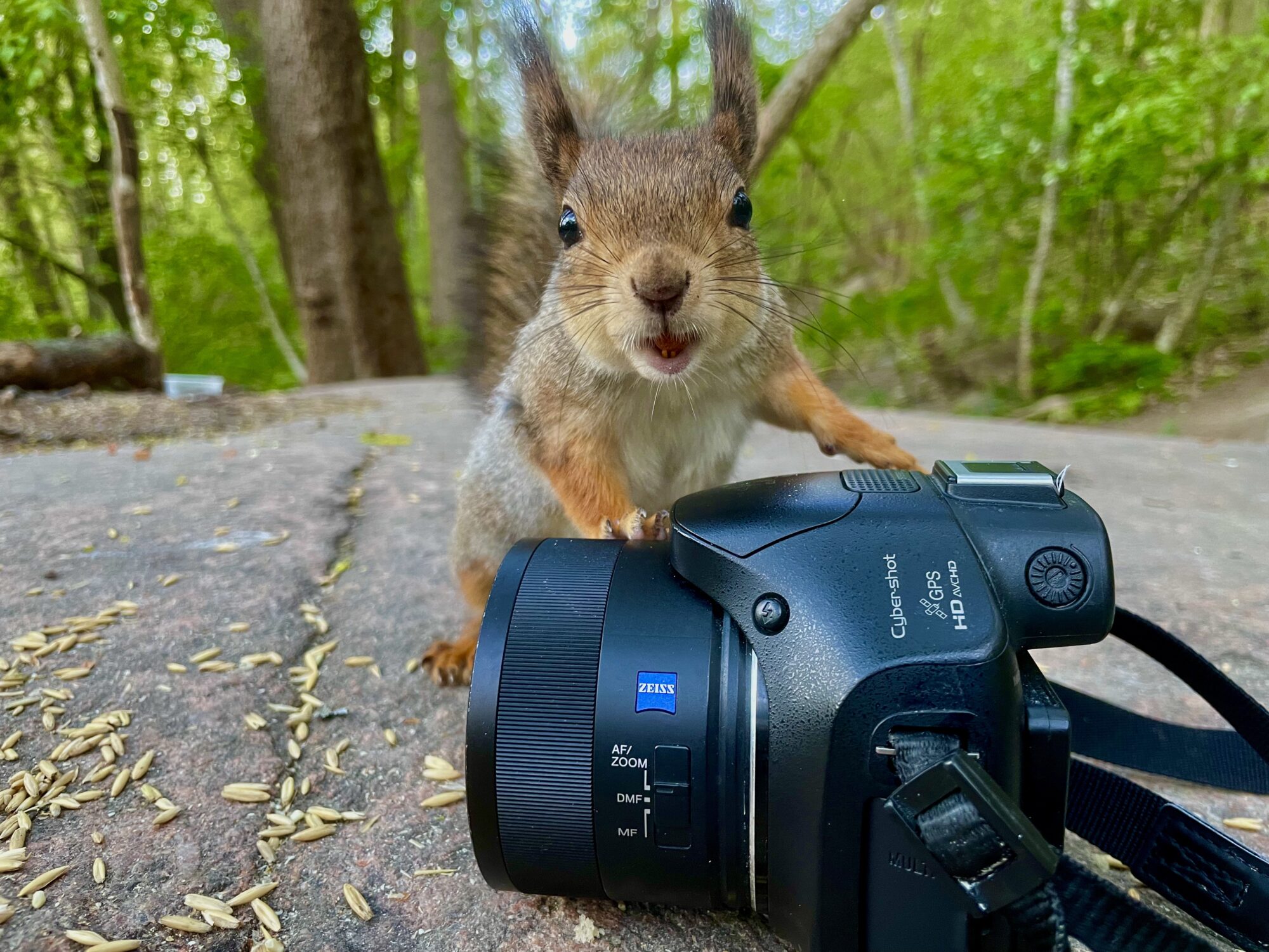 Valokuvaaja: Juhani Peltonen