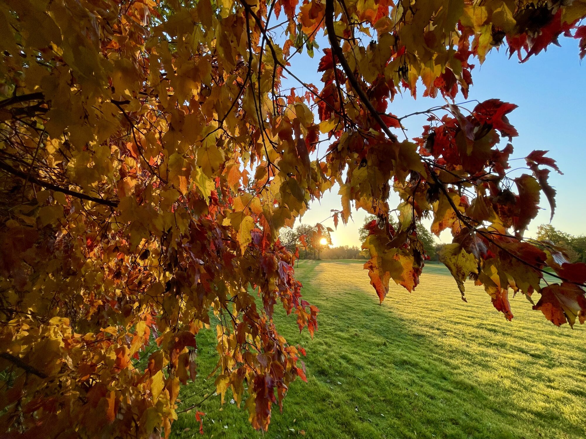 Valokuvaaja: Juhani Peltonen