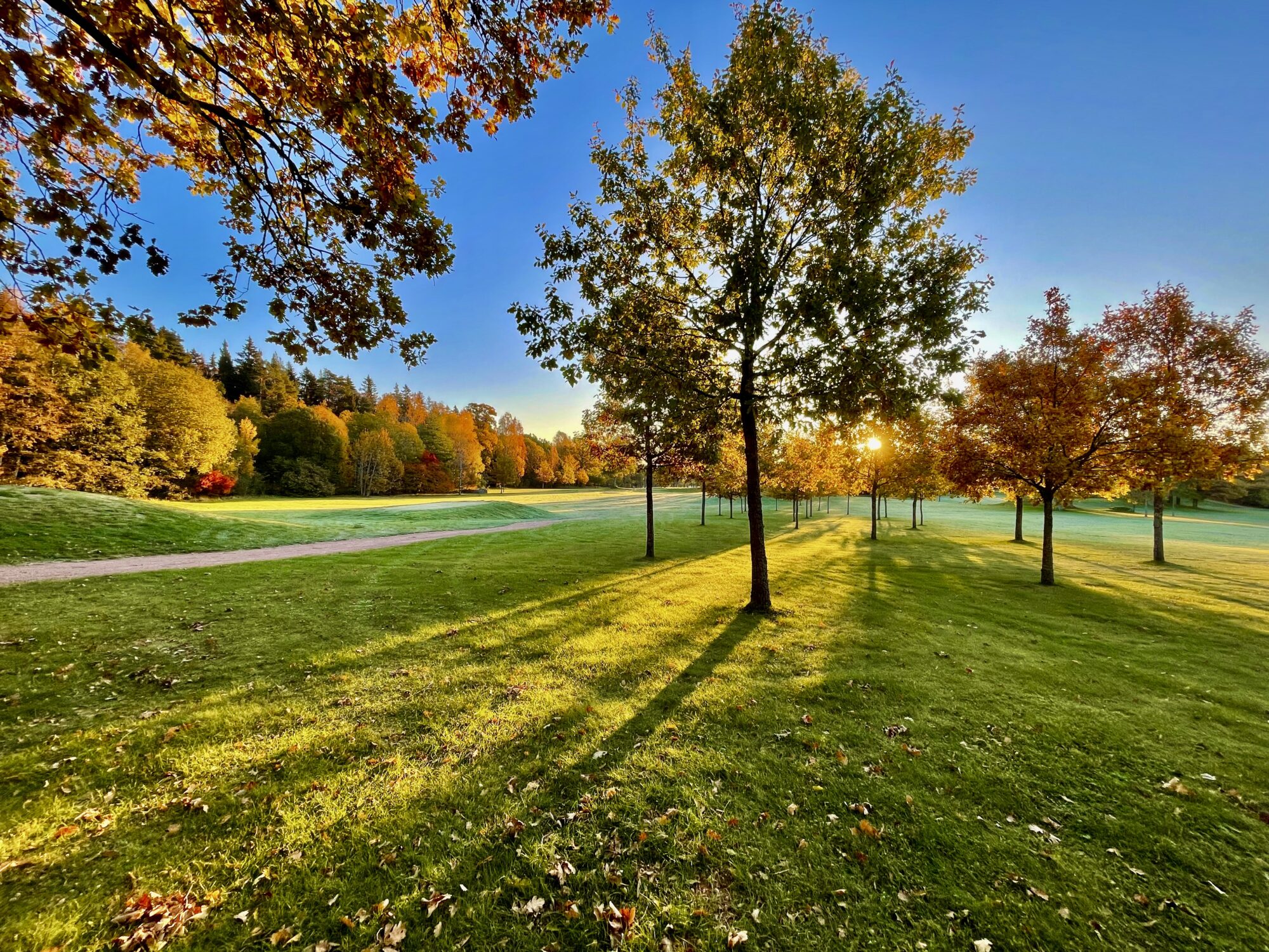 Valokuvaaja: Juhani Peltonen