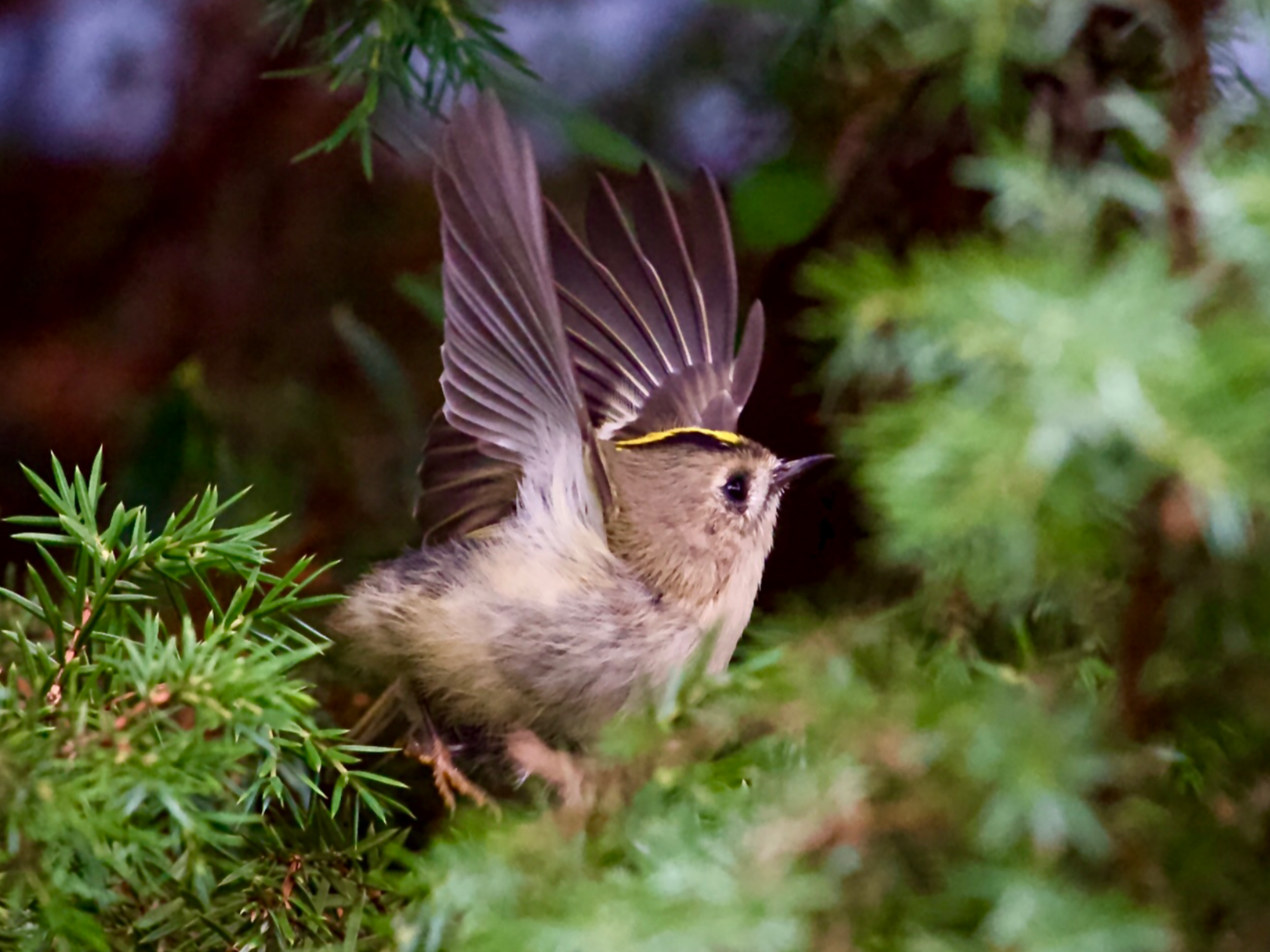 Valokuvaaja: Juha Naukkarinen