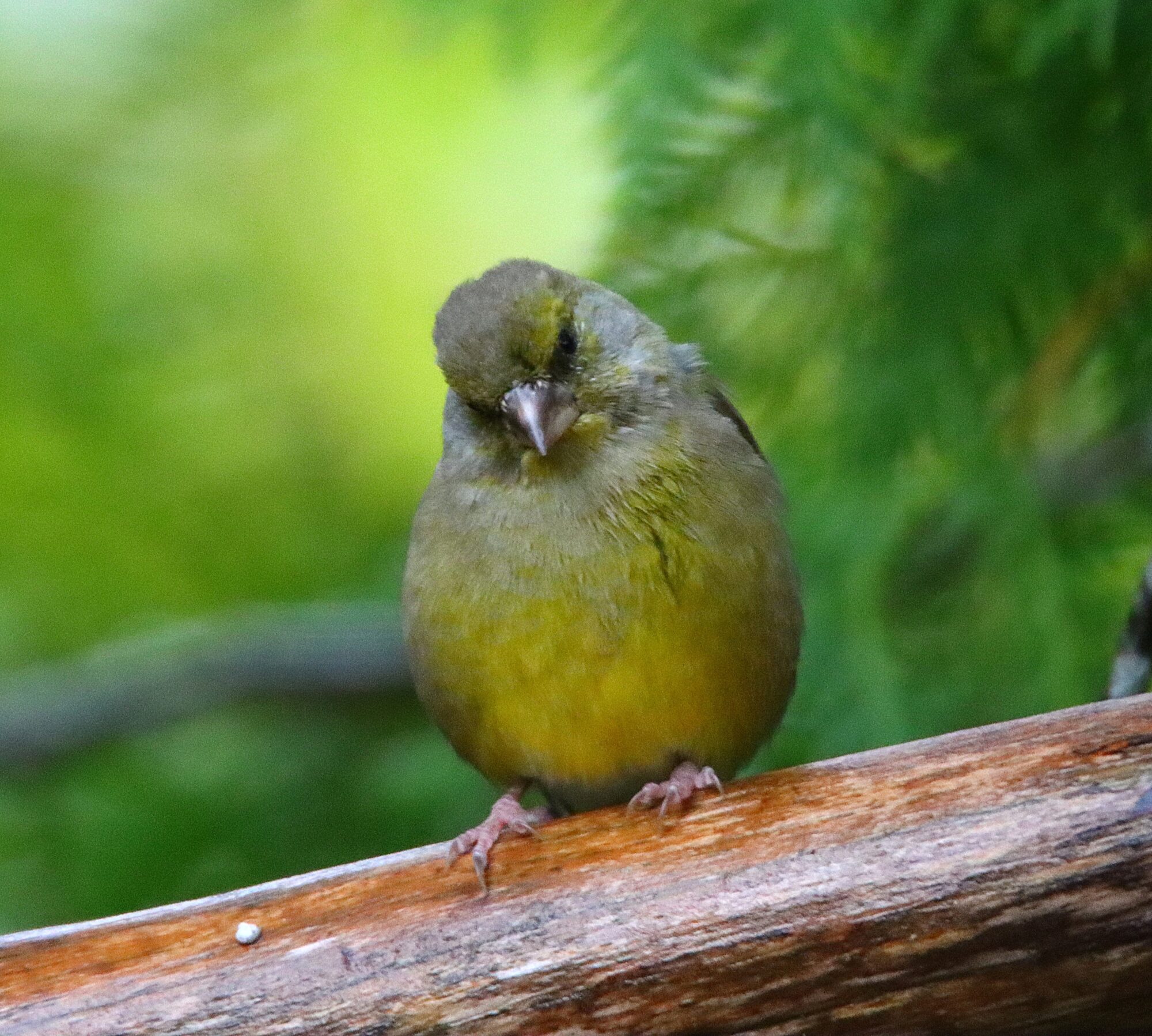 Valokuvaaja: Irja Lehtinen