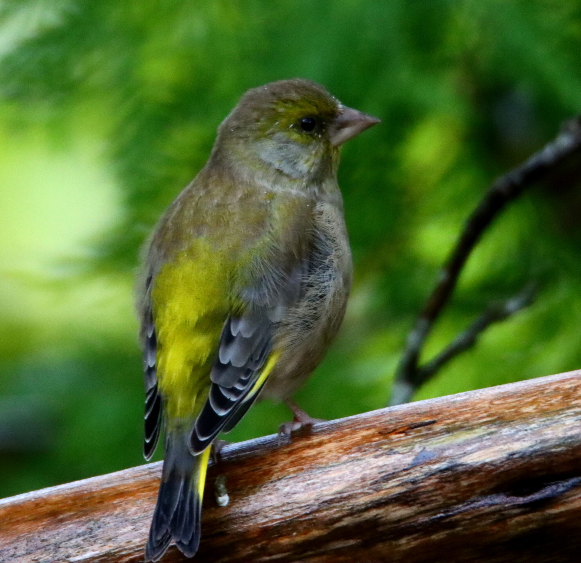 Valokuvaaja: Irja Lehtinen