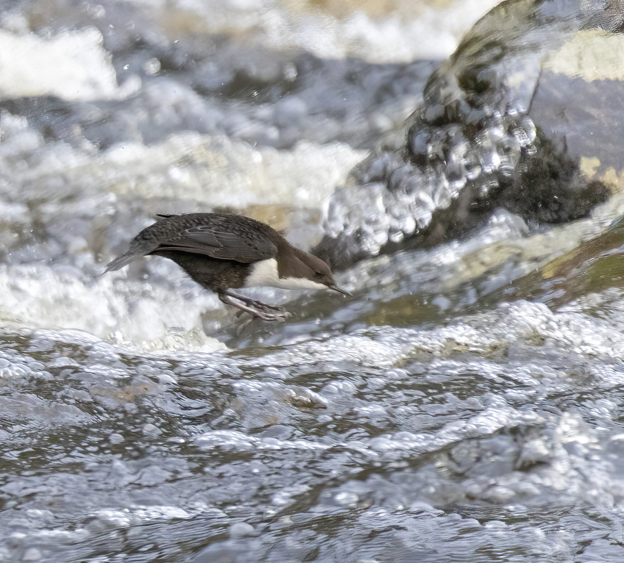 Valokuvaaja: Hannu Tikkanen