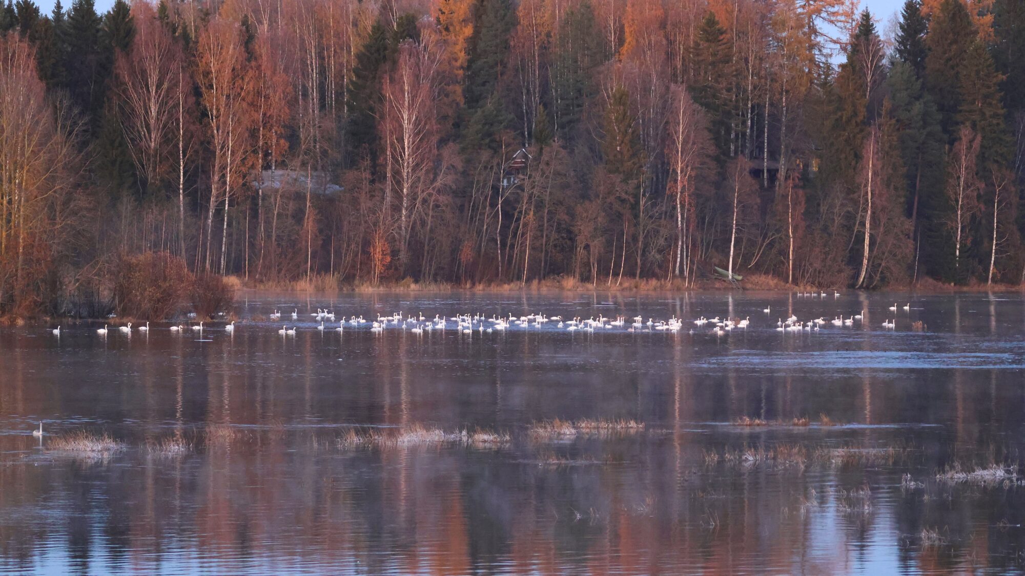 Valokuvaaja: Mikko Kujala
