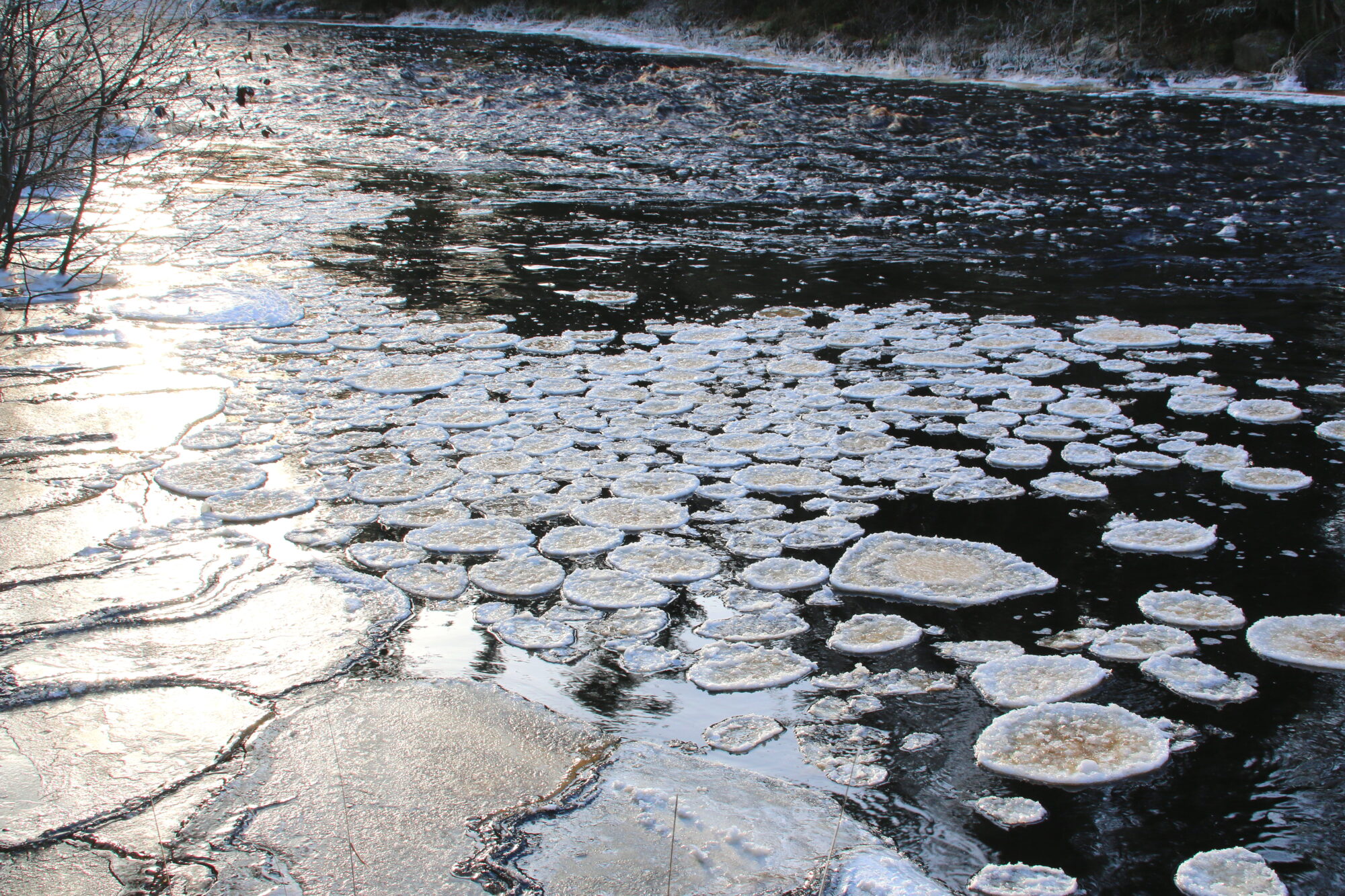 Valokuvaaja: Tuukka Pahtamaa Valokuvaaja: Tuukka Pahtamaa