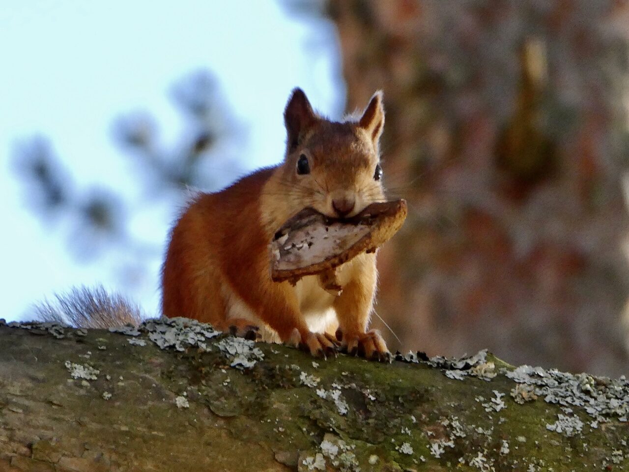 Valokuvaaja: Liisa Niiva-Korpela