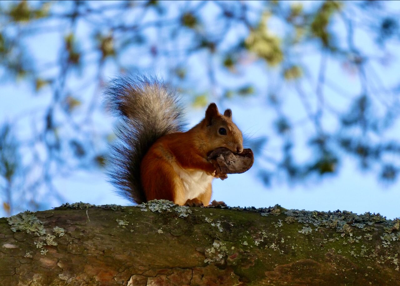 Valokuvaaja: Liisa Niiva-Korpela