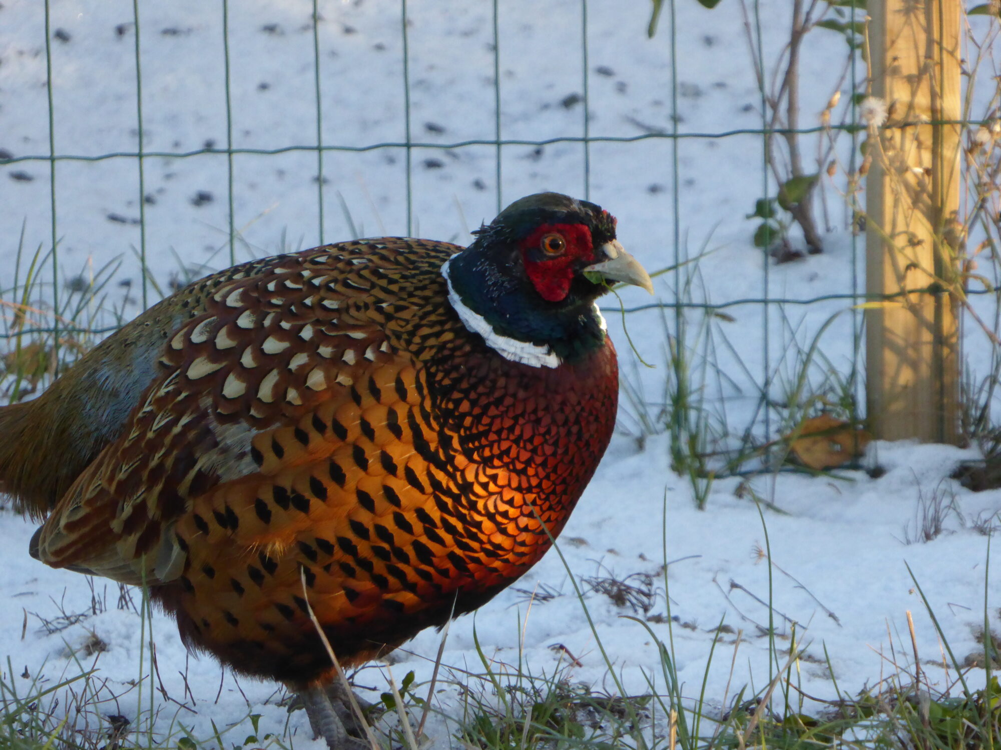 Valokuvaaja: Toni Asikainen Valokuvaaja: Toni Asikainen