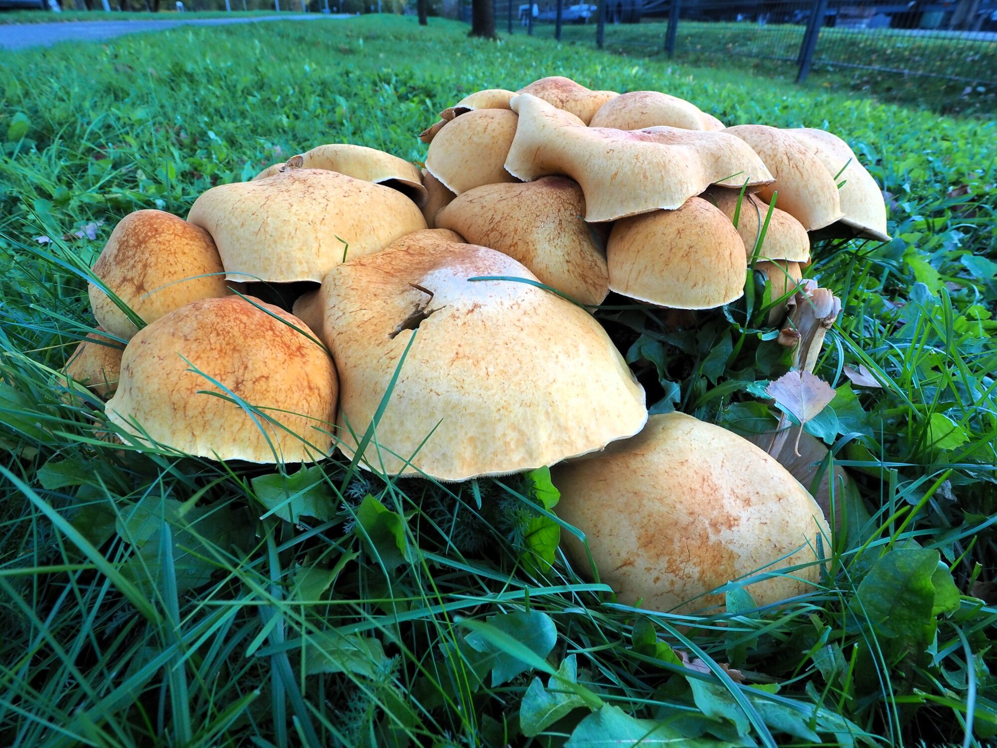 Valokuvaaja: Martti Valtonen