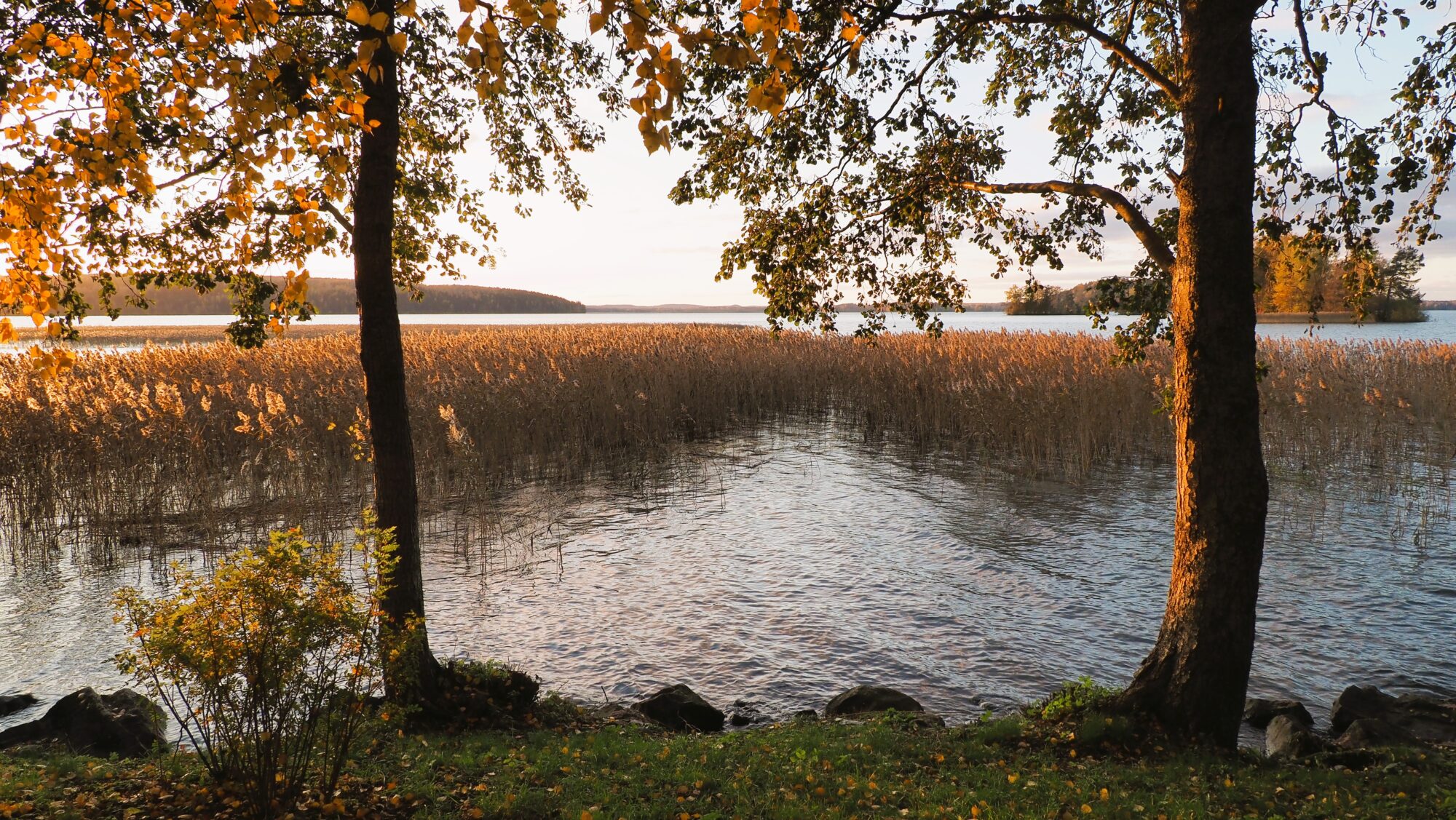 Valokuvaaja: Arja Valtonen Valokuvaaja: Arja Valtonen