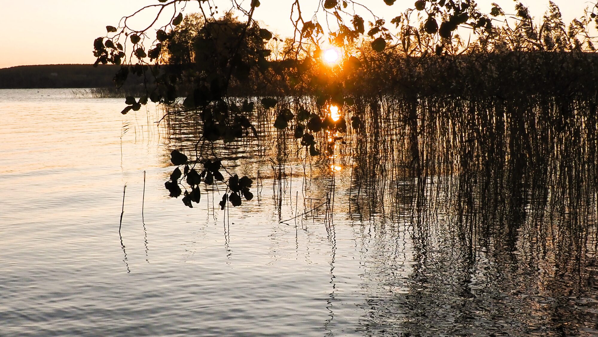 Valokuvaaja: Arja Valtonen