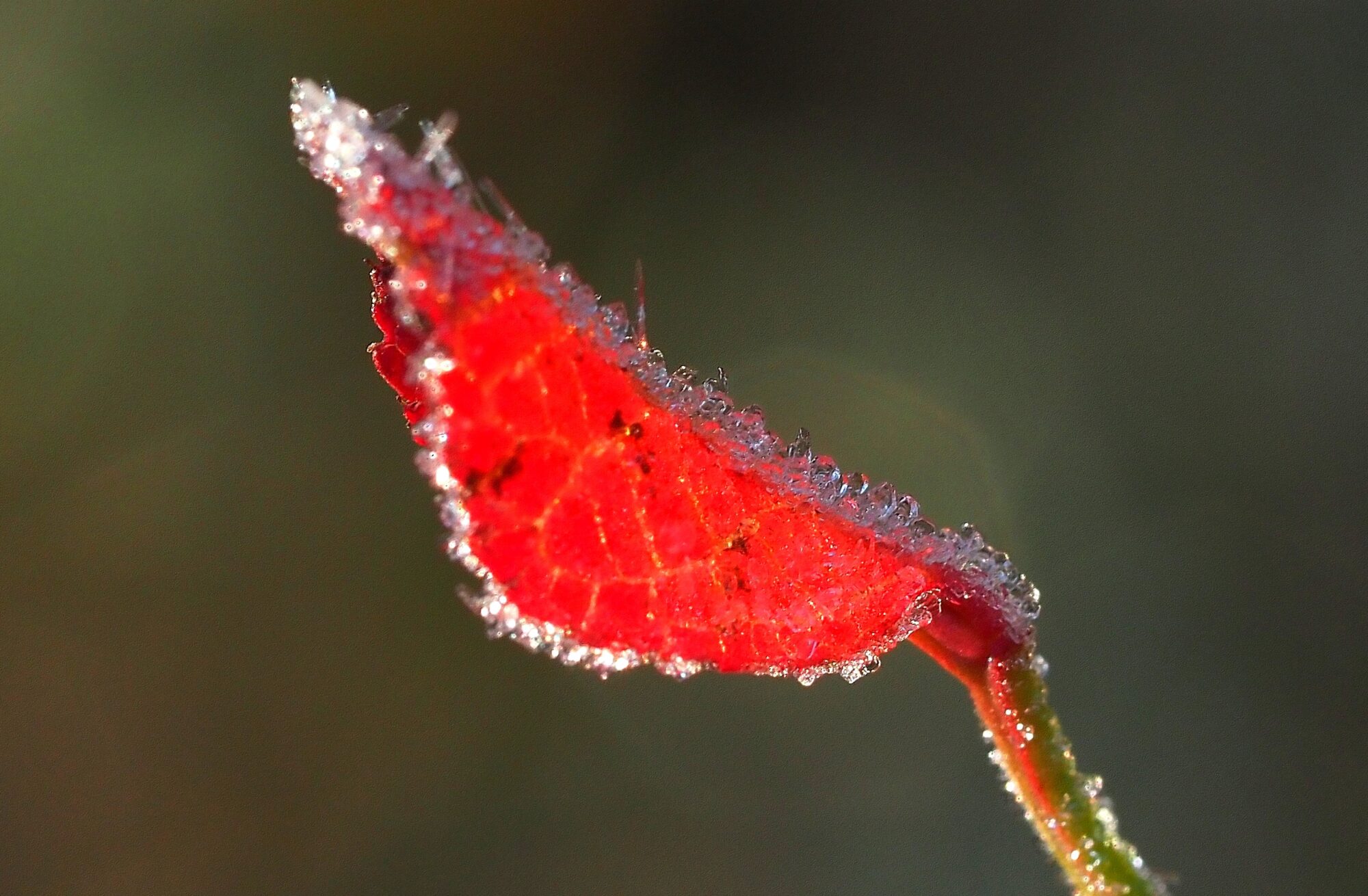 Valokuvaaja: Arja Valtonen