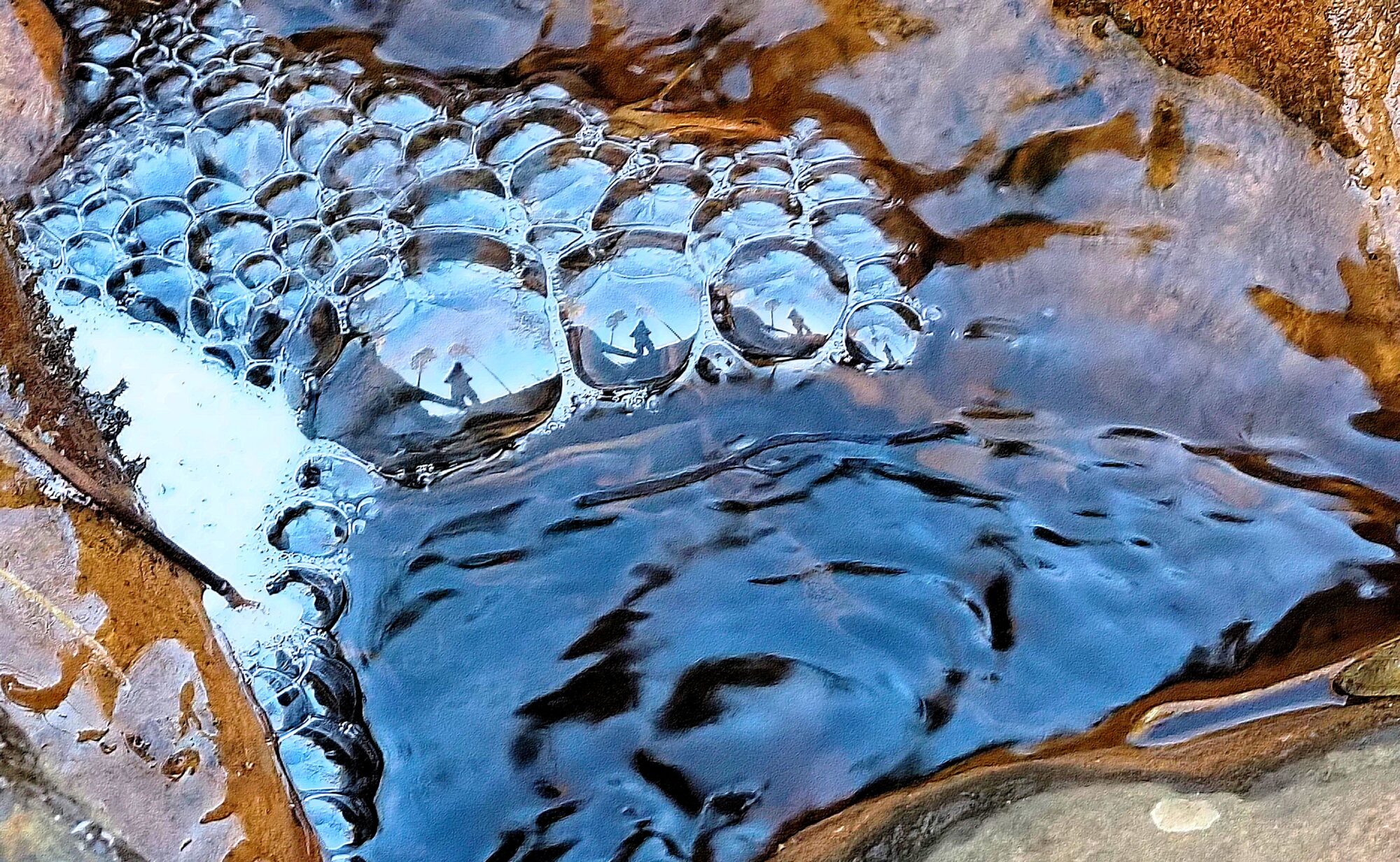 Valokuvaaja: Arja Valtonen Valokuvaaja: Arja Valtonen