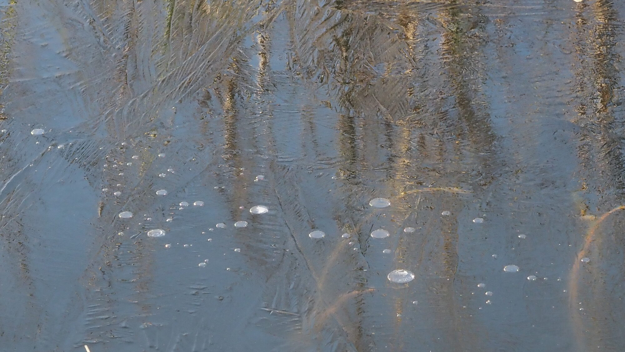 Valokuvaaja: Arja Valtonen