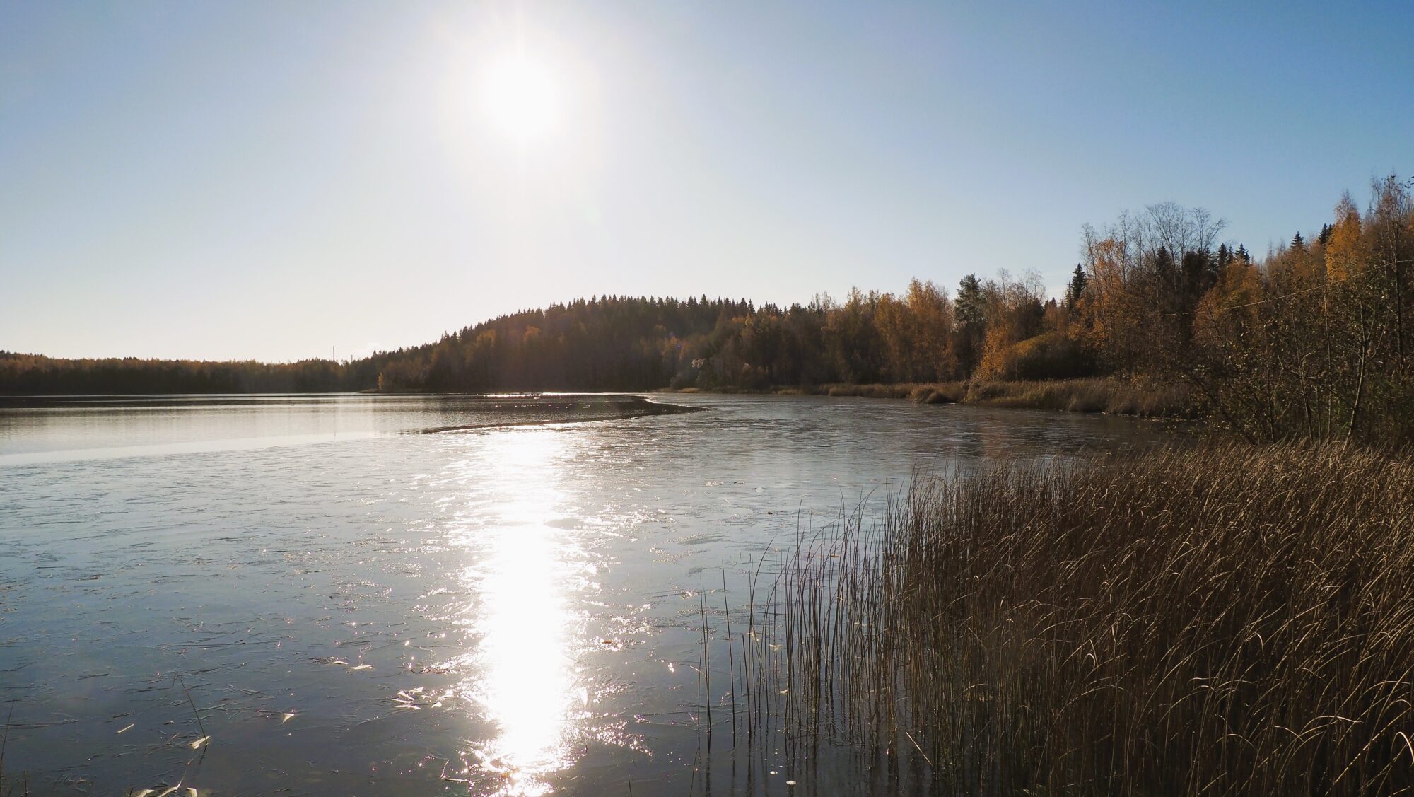 Valokuvaaja: Arja Valtonen