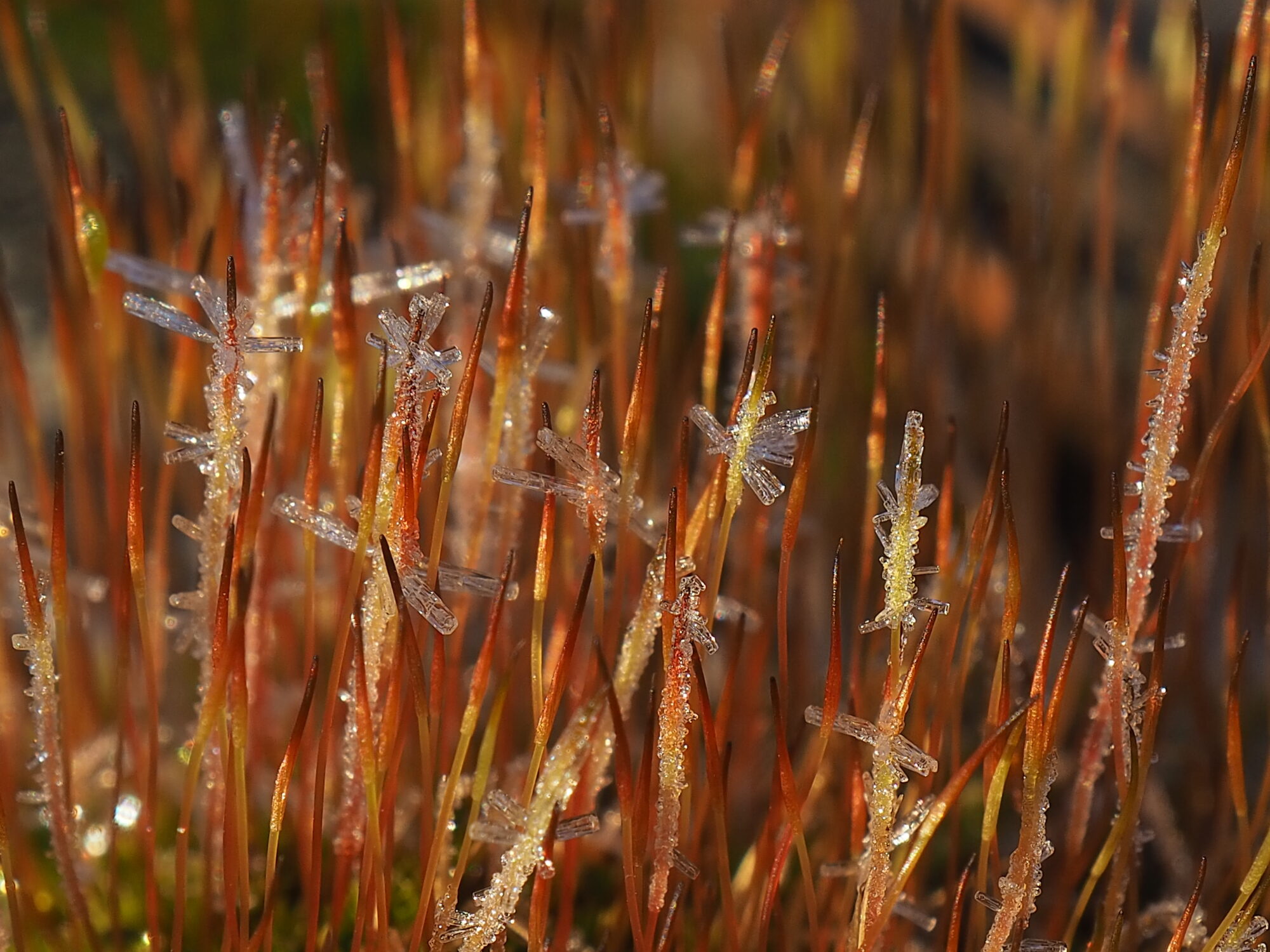 Valokuvaaja: Martti Valtonen Valokuvaaja: Martti Valtonen