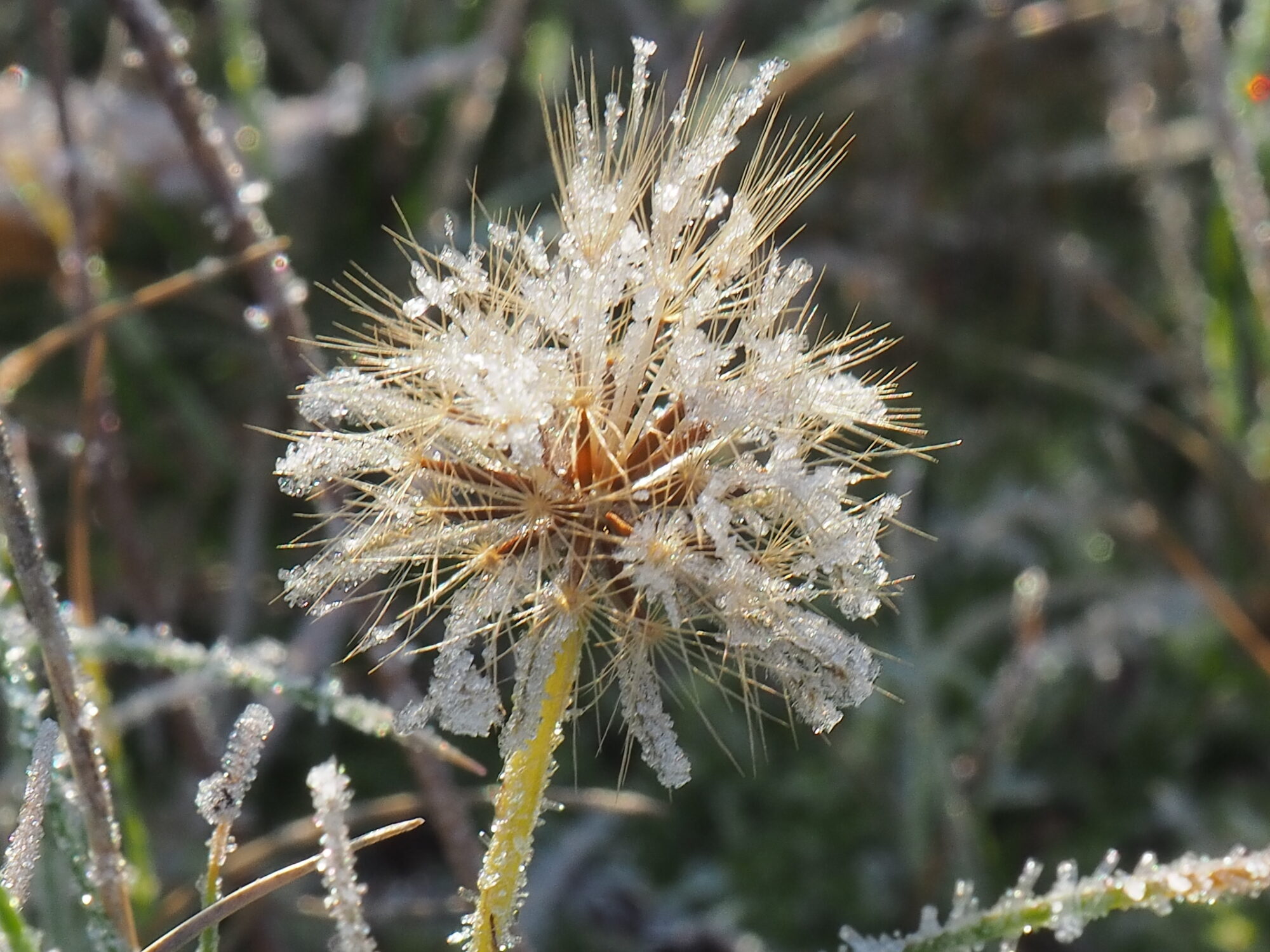 Valokuvaaja: Martti Valtonen Valokuvaaja: Martti Valtonen