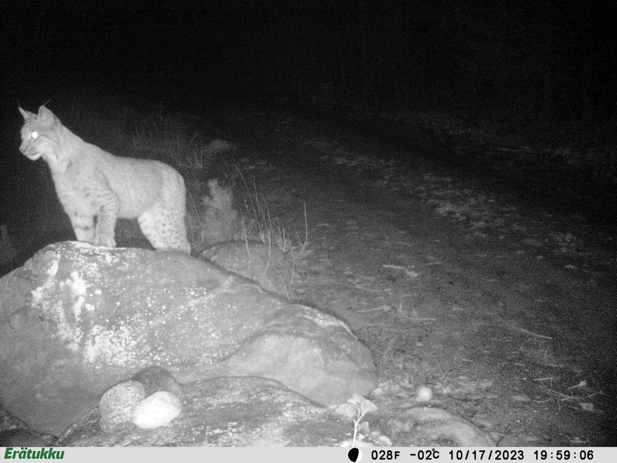 Valokuvaaja: Helena Minkkilä Valokuvaaja: Helena Minkkilä