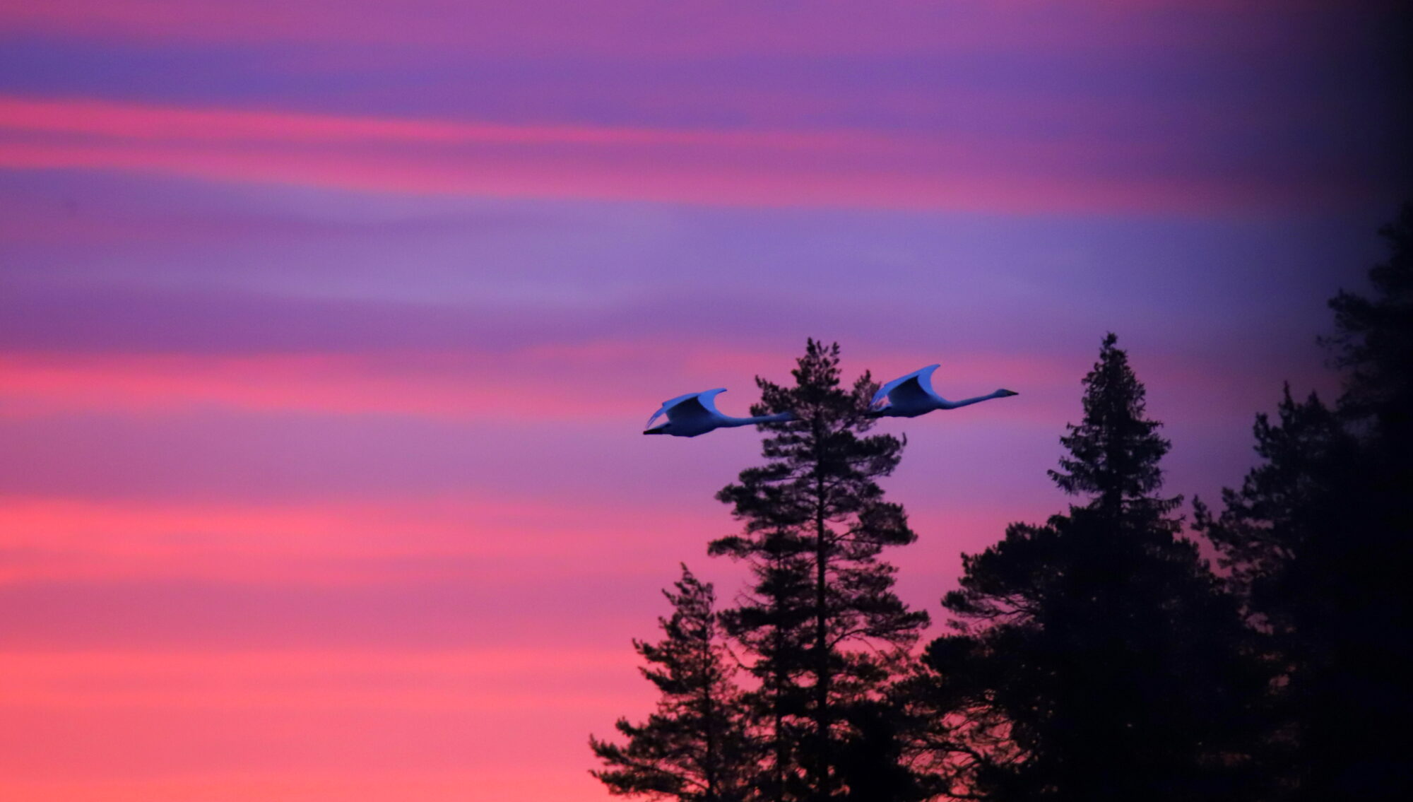 Valokuvaaja: sirpa Jyske