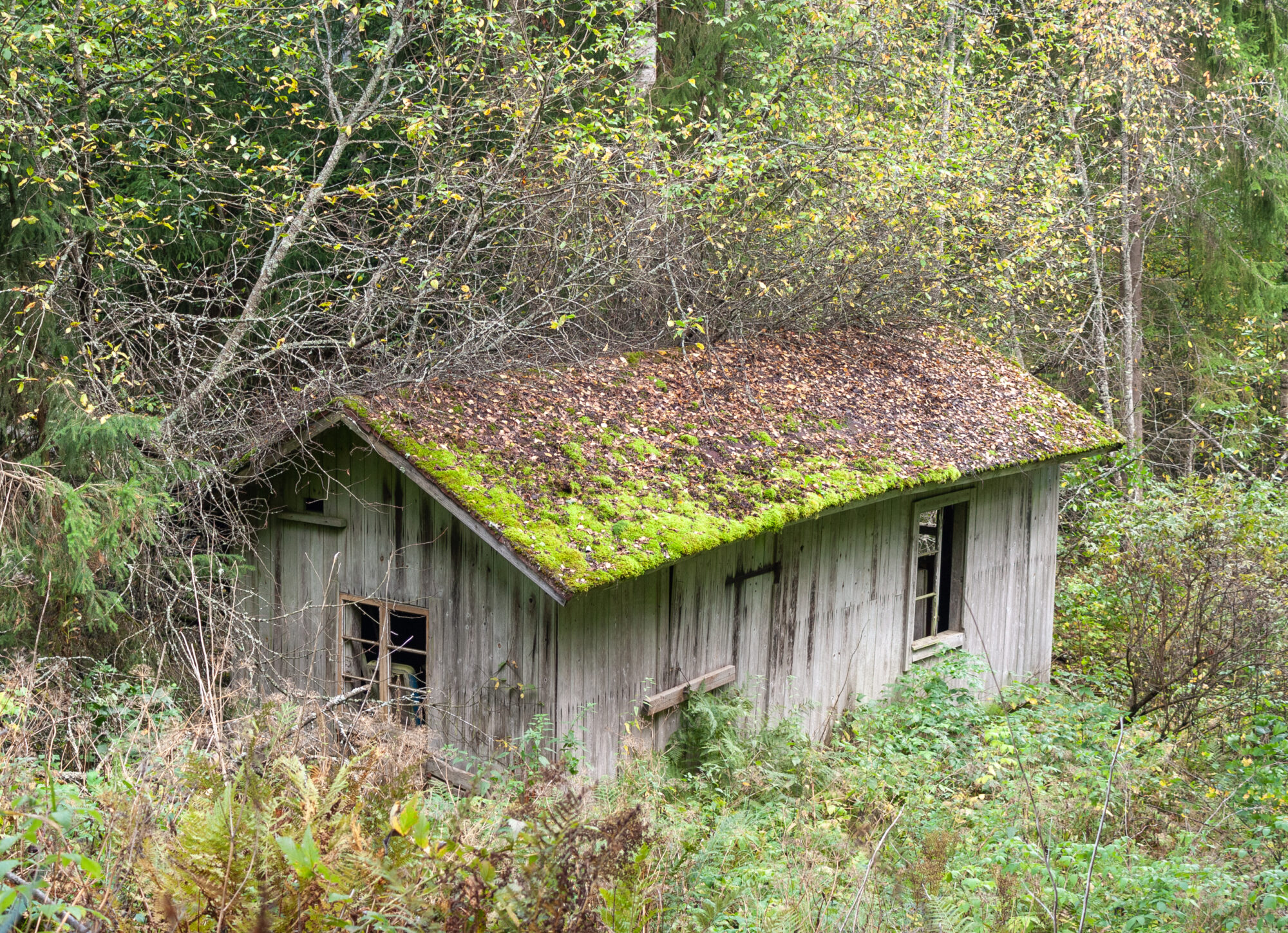 Valokuvaaja: Katri Mäkinen