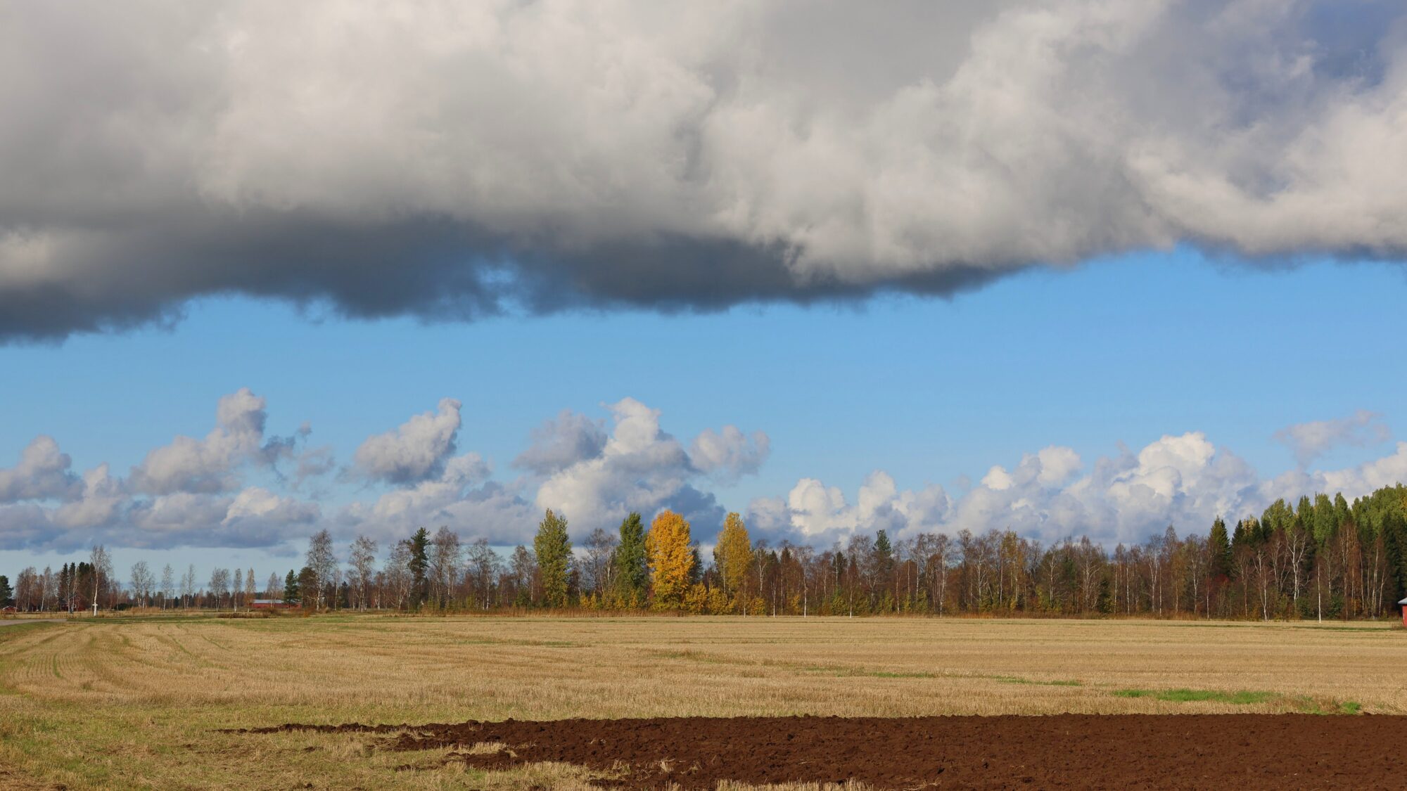 Valokuvaaja: SINIKKA KUJALA