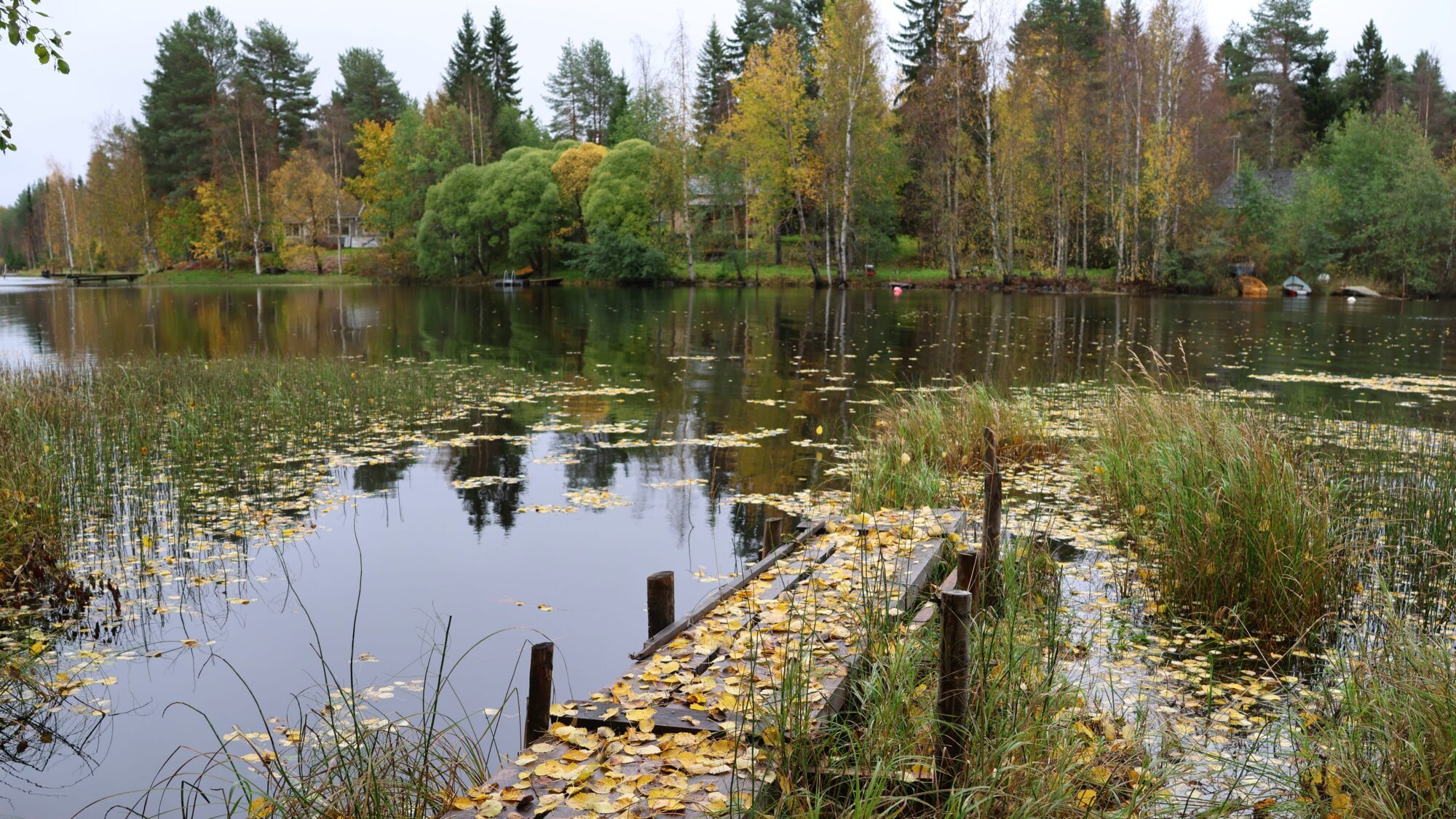Valokuvaaja: SINIKKA KUJALA
