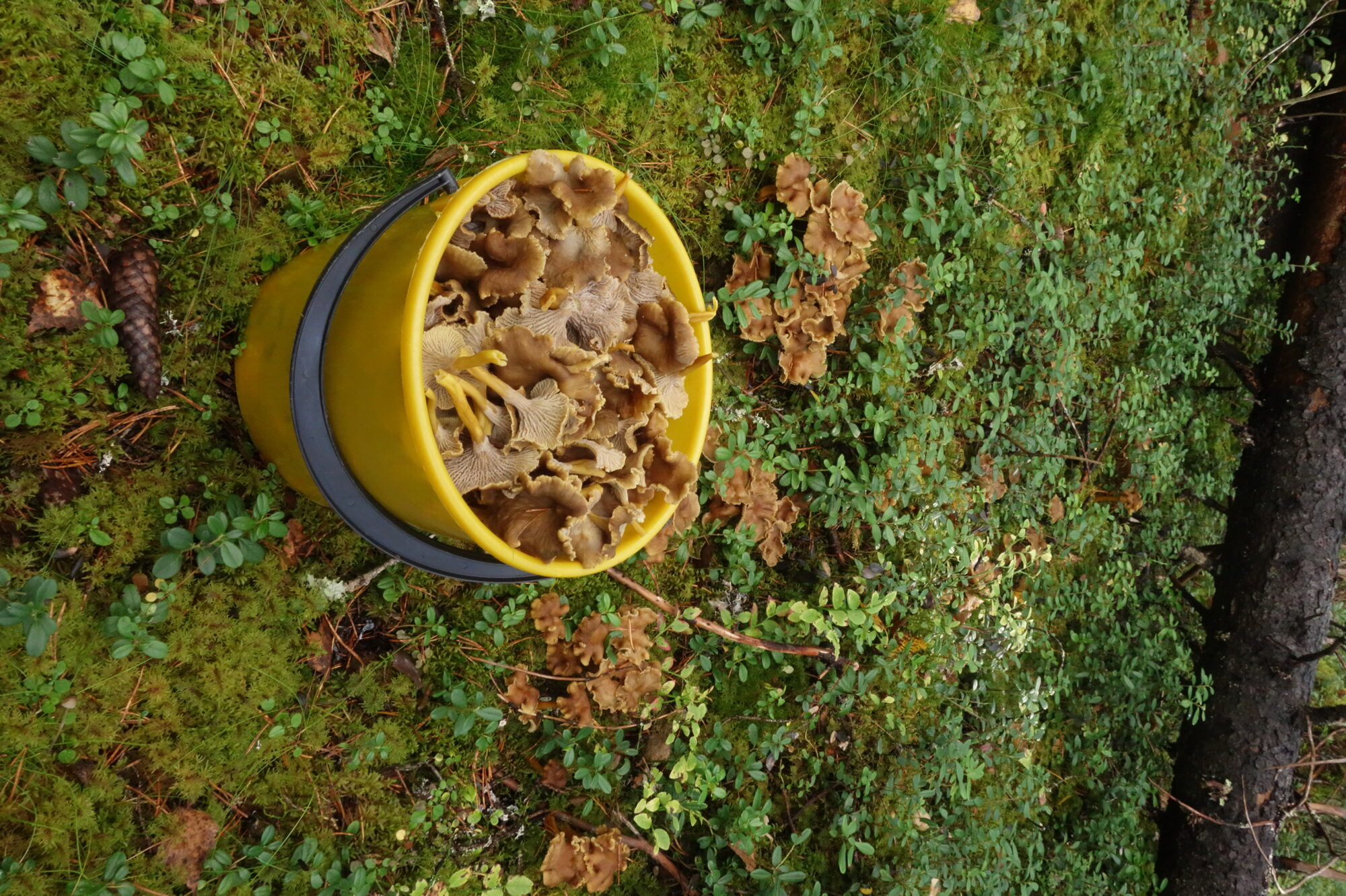 Valokuvaaja: Kaarina Heiskanen