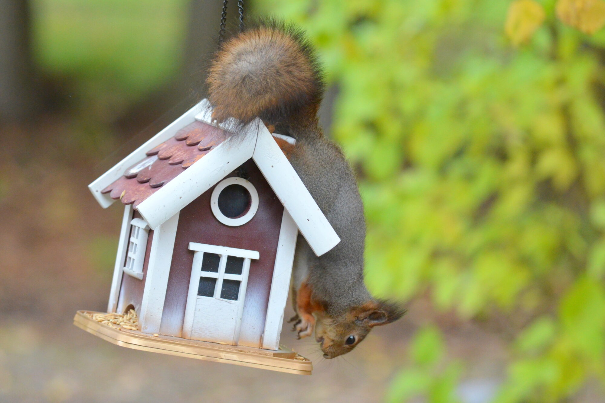 Valokuvaaja: Kaarlo Asikainen Valokuvaaja: Kaarlo Asikainen