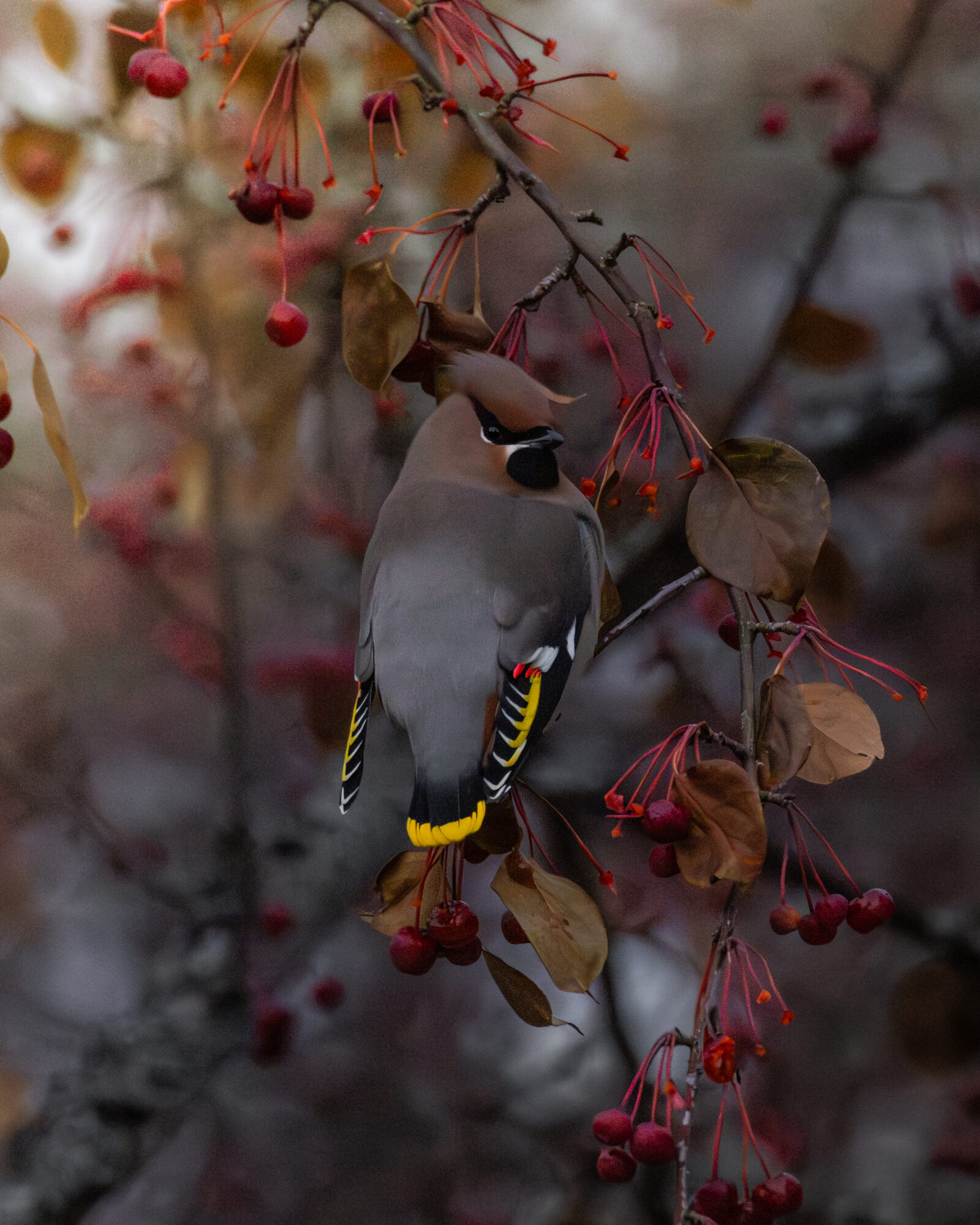 Valokuvaaja: Leevi Halme