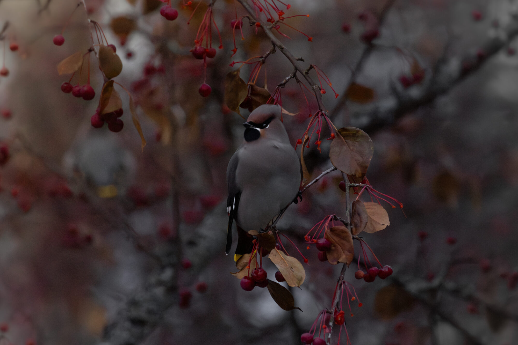 Valokuvaaja: Leevi Halme
