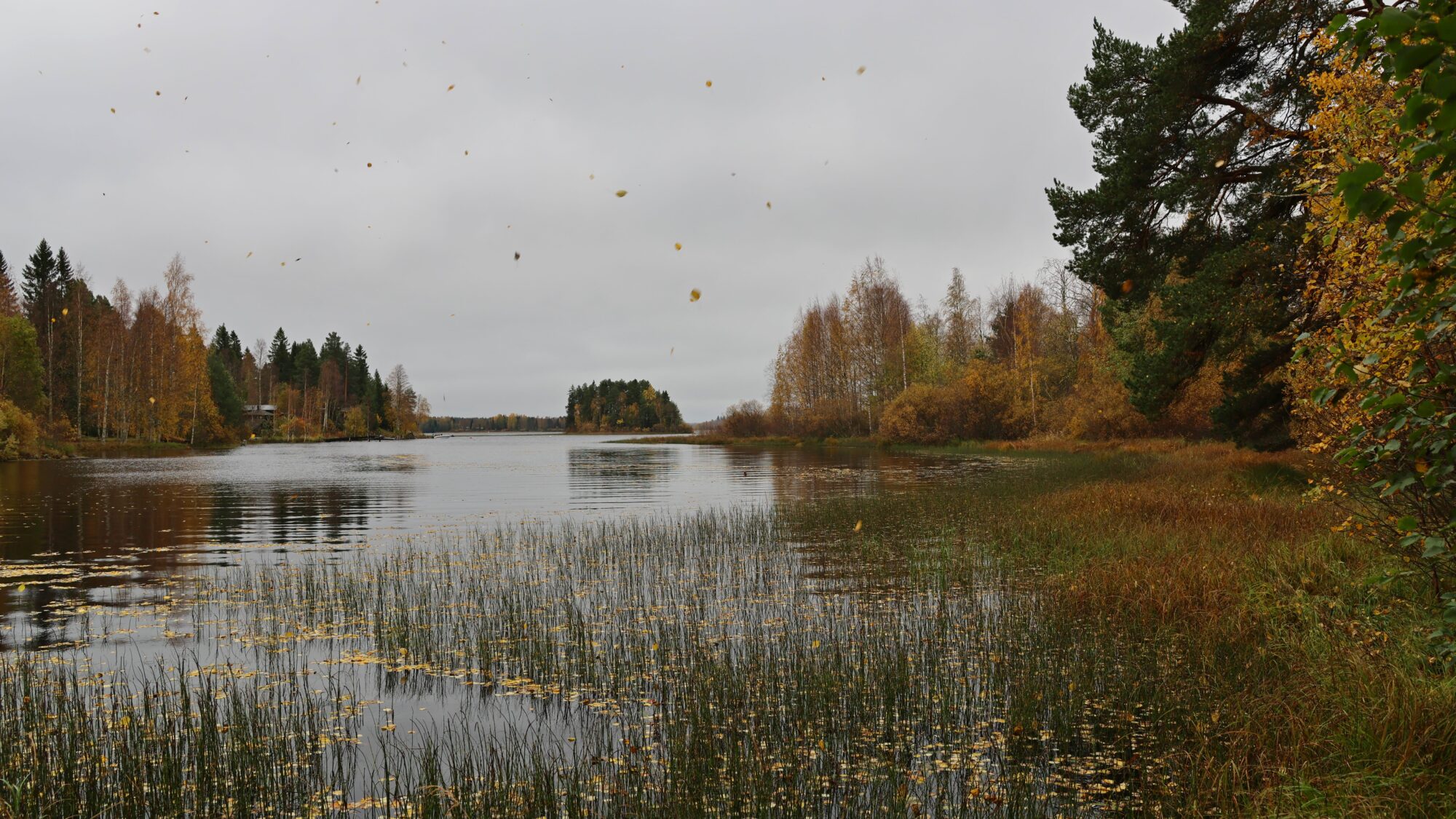 Valokuvaaja: SINIKKA KUJALA