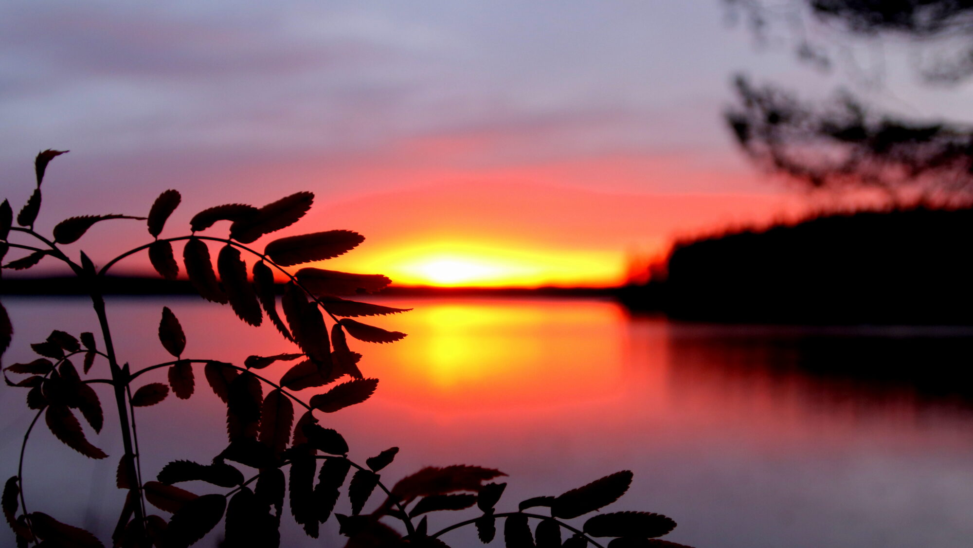 Valokuvaaja: sirpa Jyske Valokuvaaja: sirpa Jyske