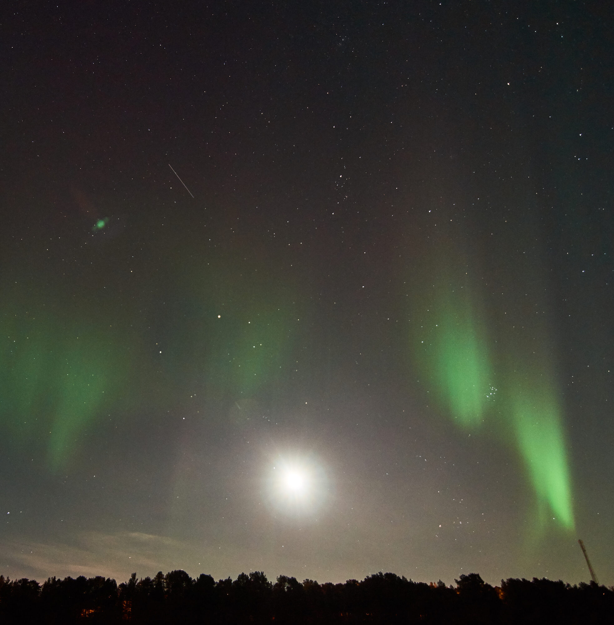 Valokuvaaja: Tarja Kouvo