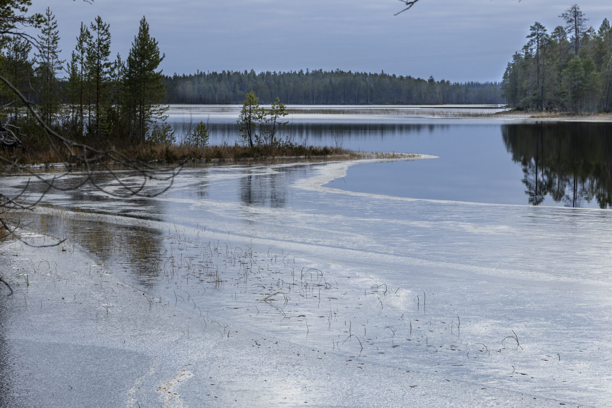 Valokuvaaja: Hannu Tikkanen Valokuvaaja: Hannu Tikkanen