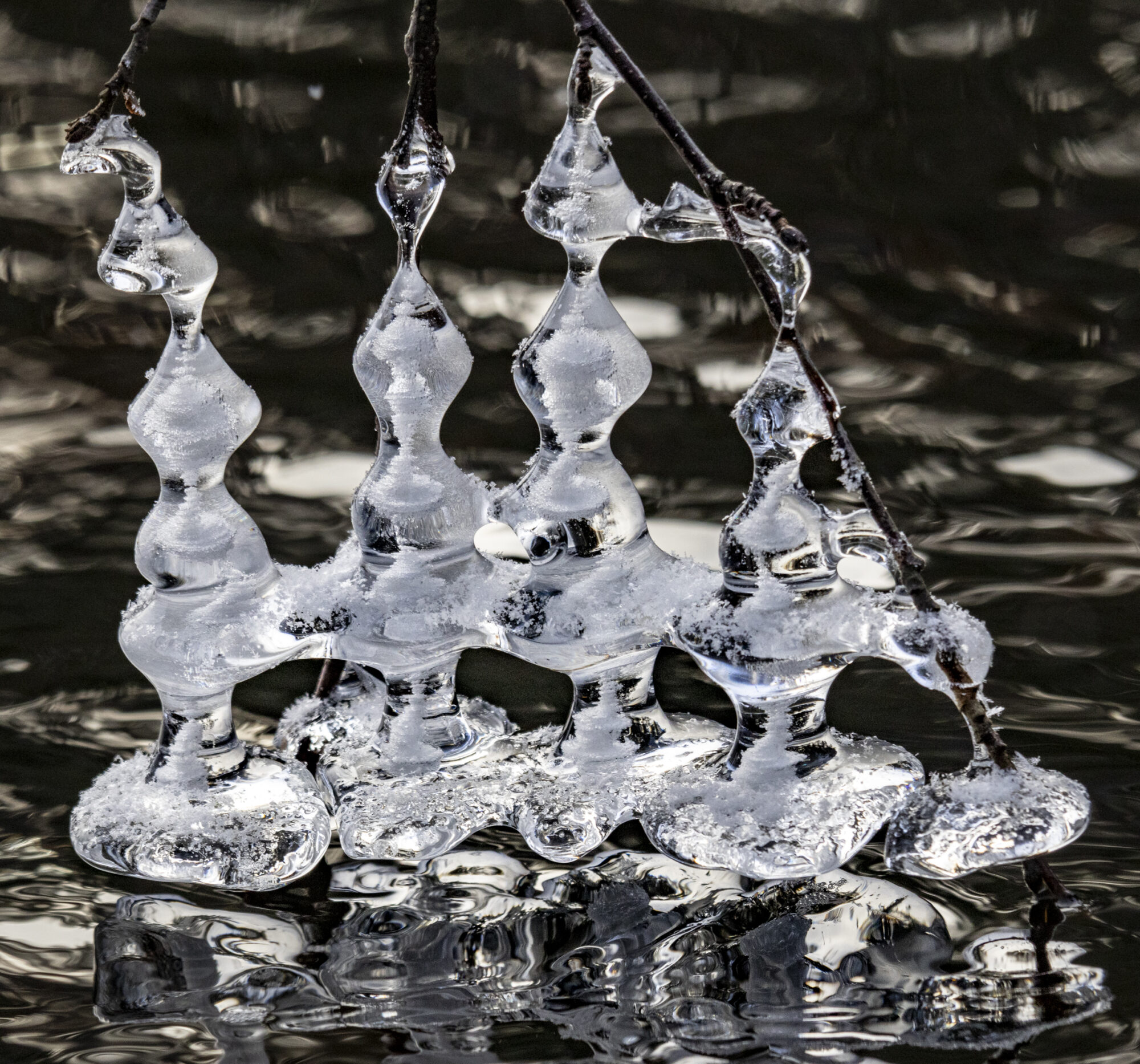 Valokuvaaja: Hannu Tikkanen