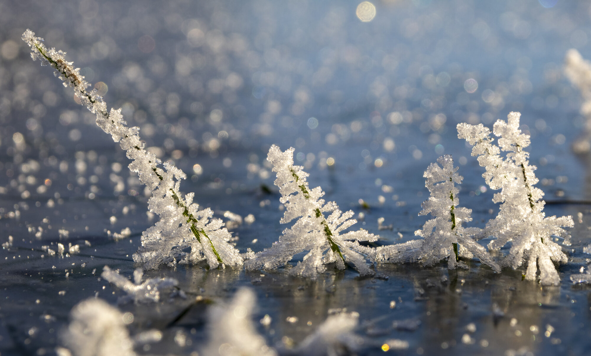 Valokuvaaja: Hannu Tikkanen