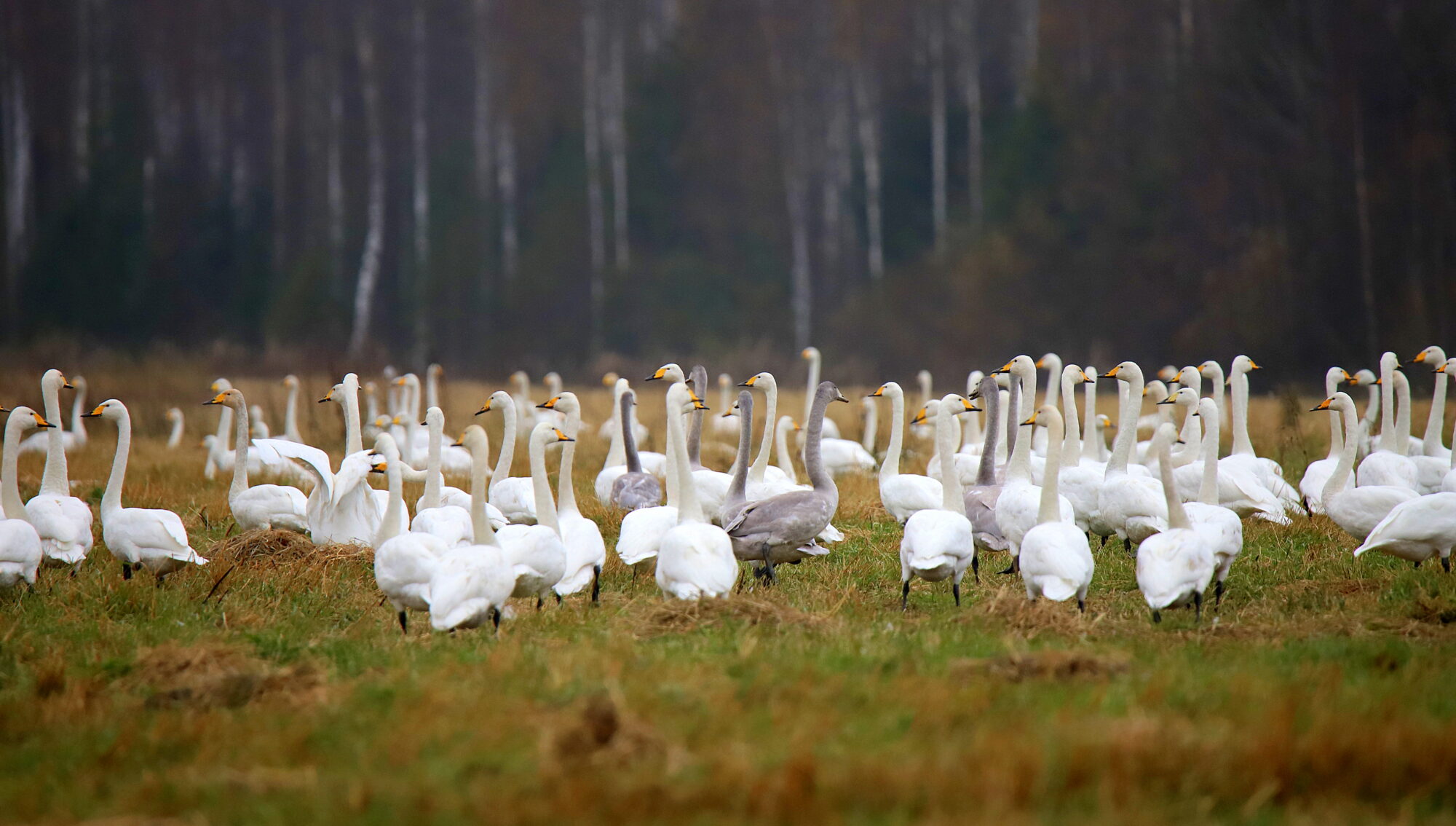 Valokuvaaja: sirpa Jyske