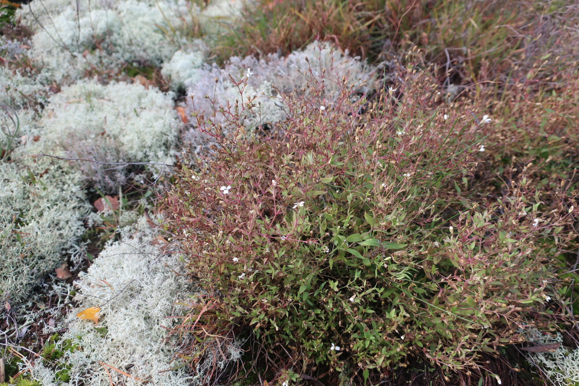 Valokuvaaja: Arja Pohto