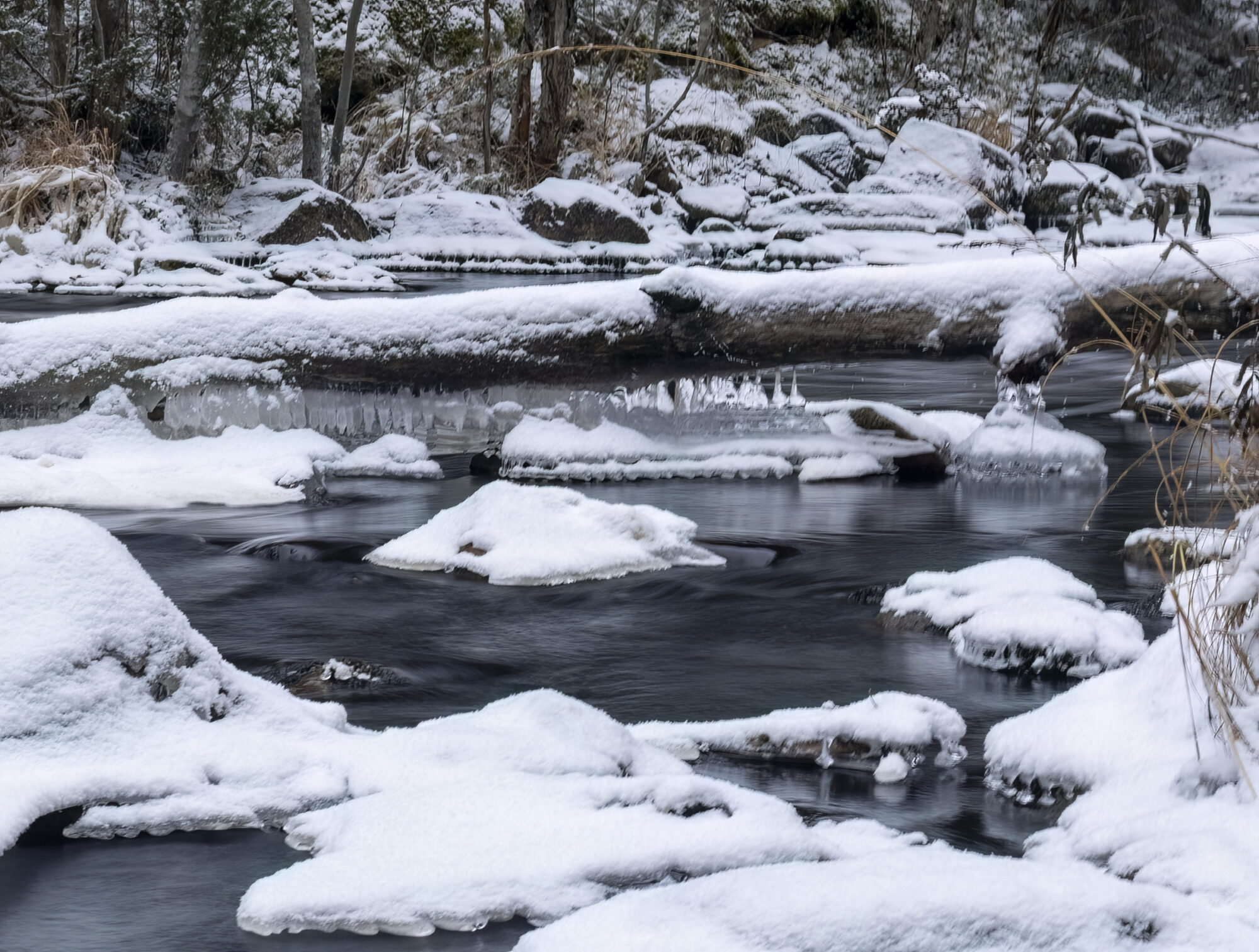 Valokuvaaja: Hannu Tikkanen