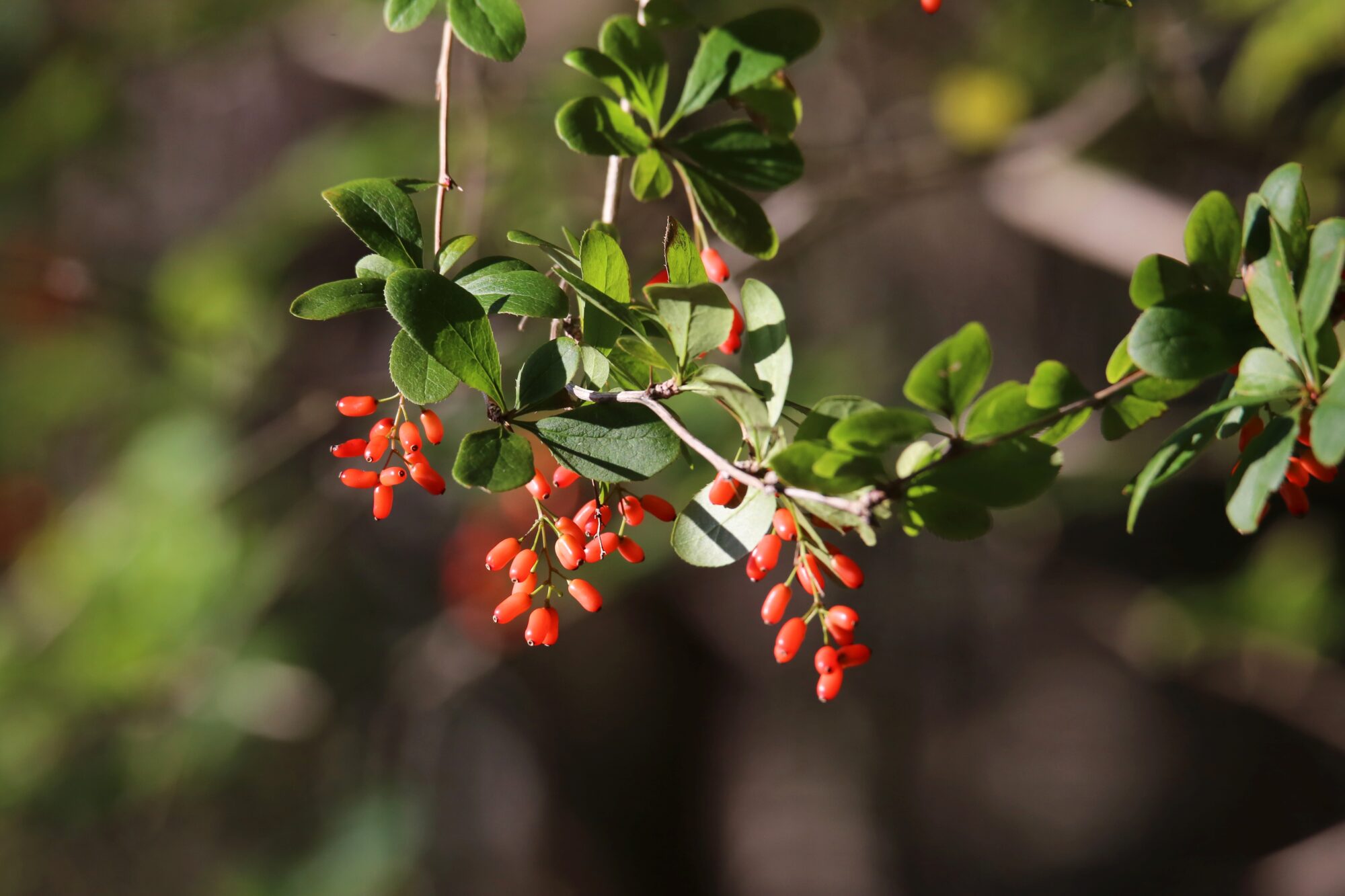 Valokuvaaja: Jaana Saarelainen