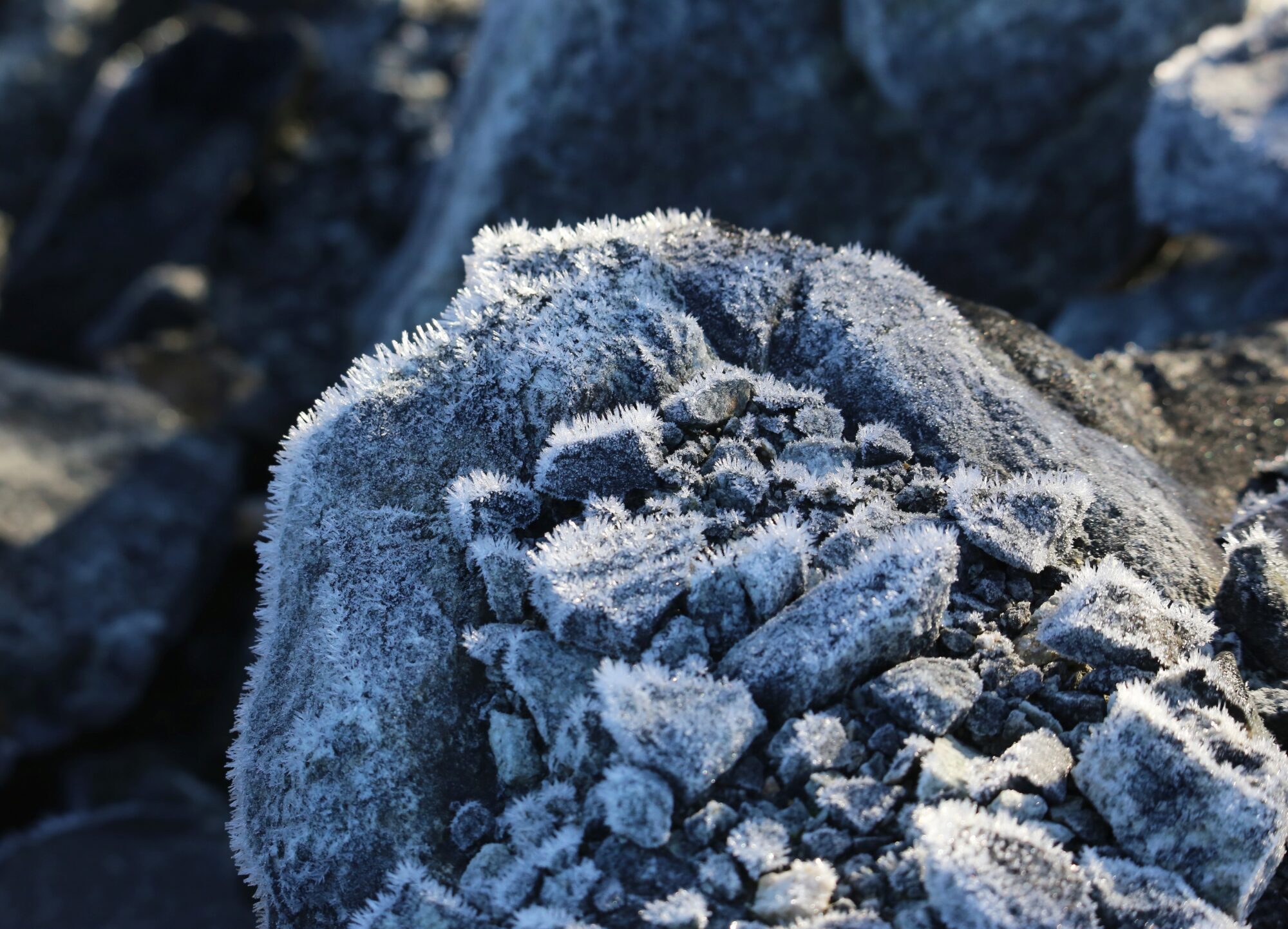 Valokuvaaja: Jaana Saarelainen Valokuvaaja: Jaana Saarelainen