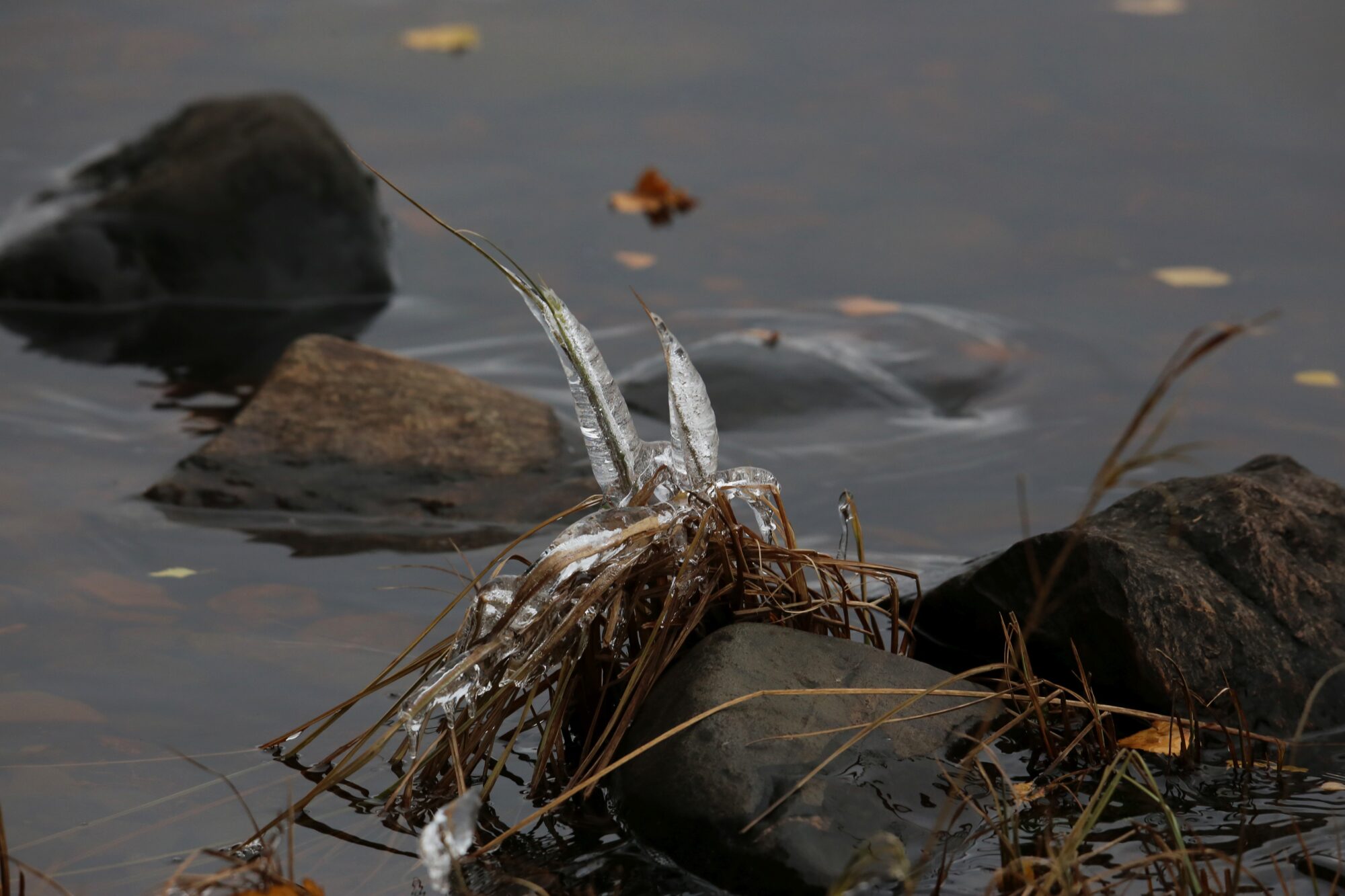 Valokuvaaja: Jaana Saarelainen
