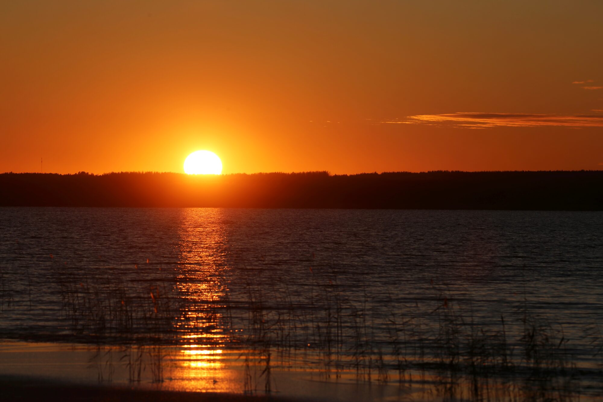 Valokuvaaja: Jaana Saarelainen
