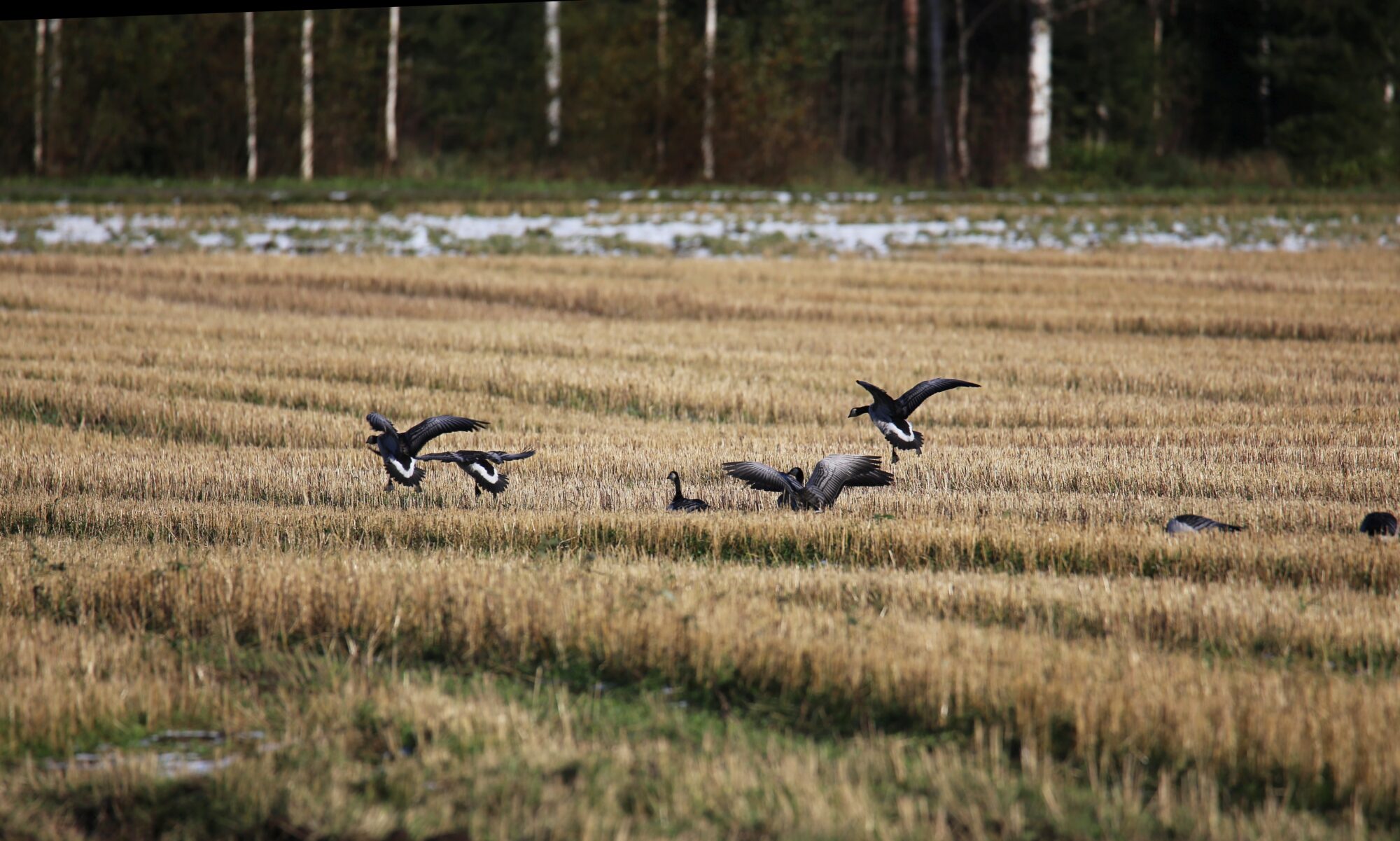Valokuvaaja: Jaana Saarelainen